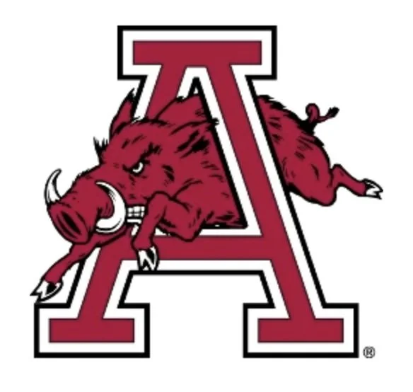 Arksasa logo square.jpg