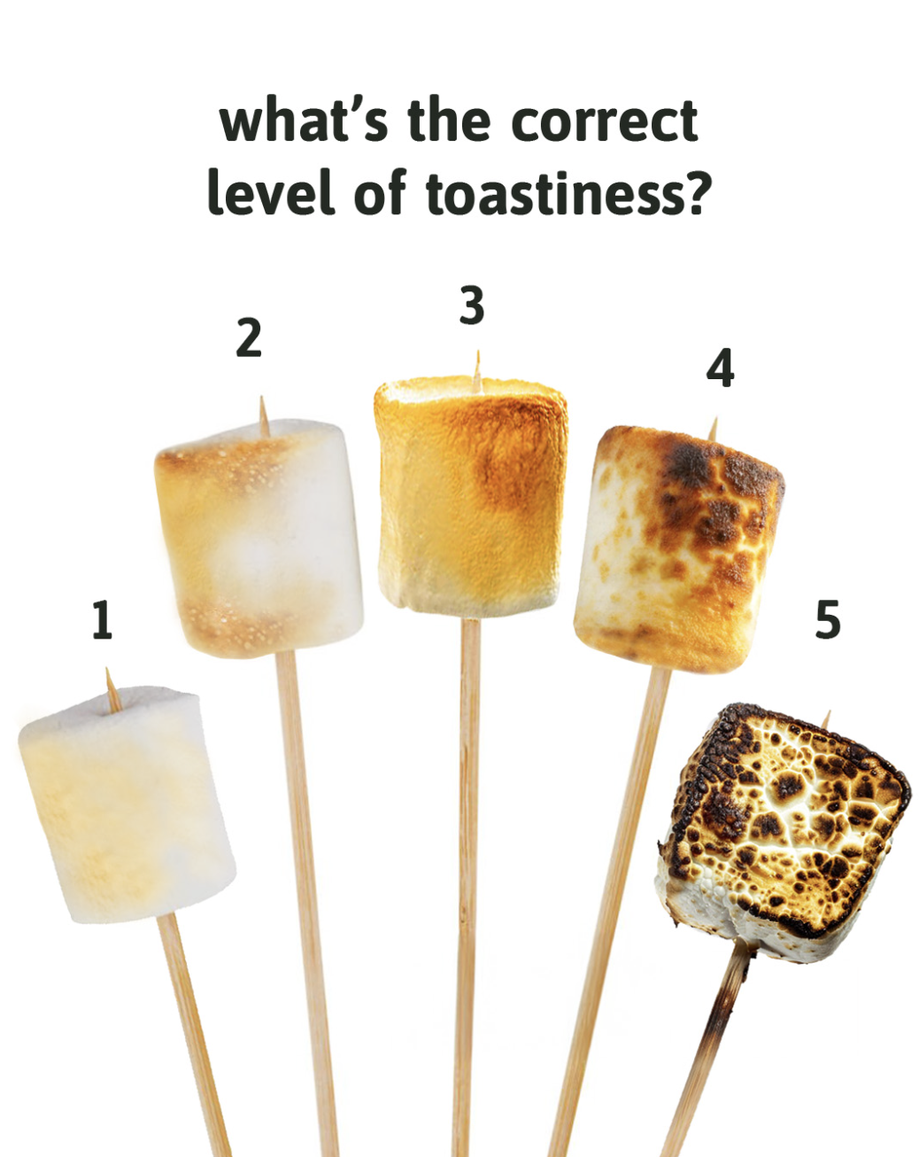 Five marshmallows on sticks lined up with different levels of toasted or burnt appearance, numbered 1 to 5, and a question asking 'what's the correct level of toastiness?'