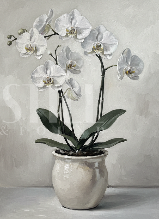 White Orchid - Digital Art Print (Download)