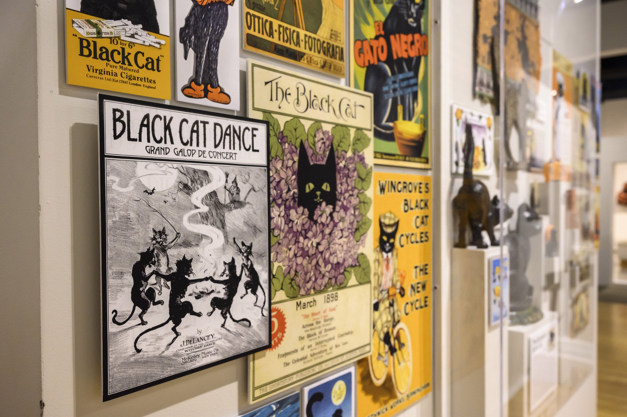 Black Cat posters on a wall.