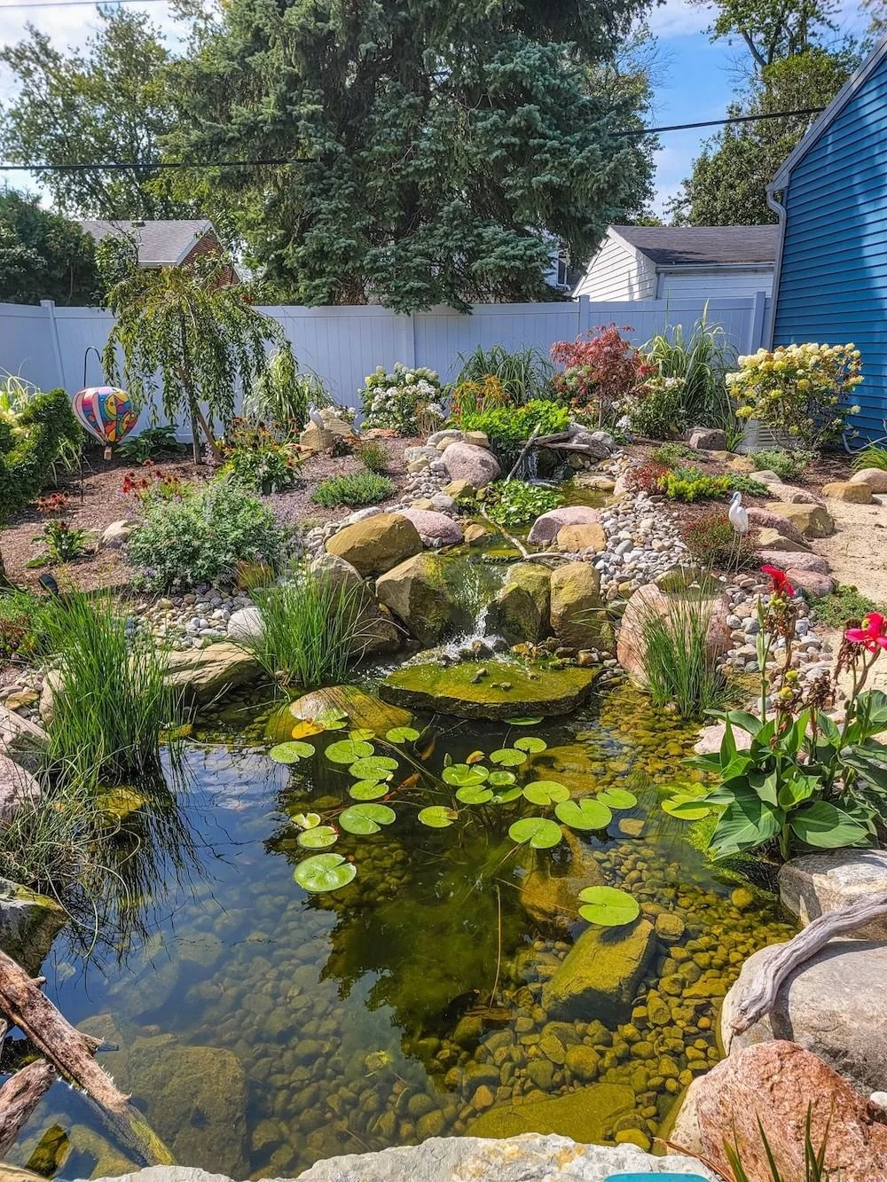 Backyard koi pond with lily pads and a rock waterfall bordered by a landscaped garden bed