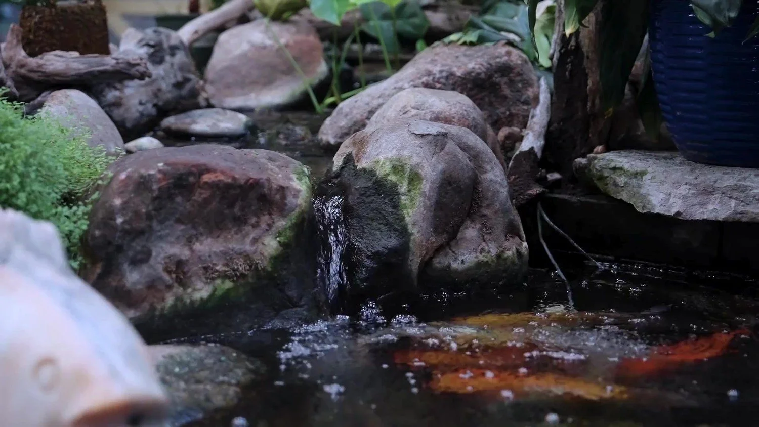 Close-up of a small garden pond with rocks, water flowing over rocks, and reflections on the water surface, surrounded by green plants.