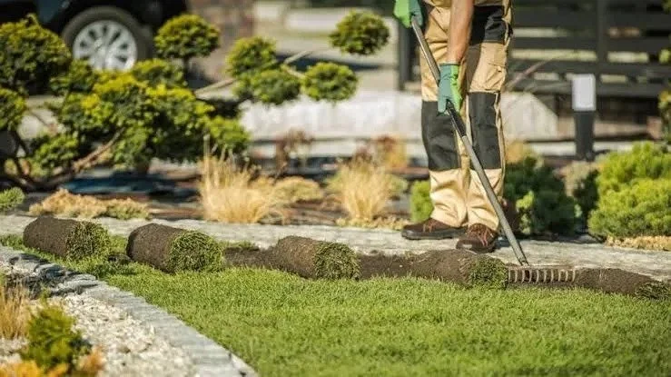 What is the difference between a landscaper and a landscape designer?