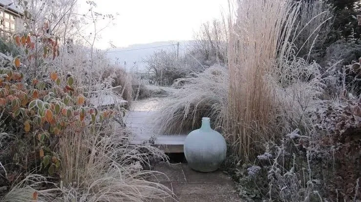 How do Landscaping Services Differ in the Winters and Summers?