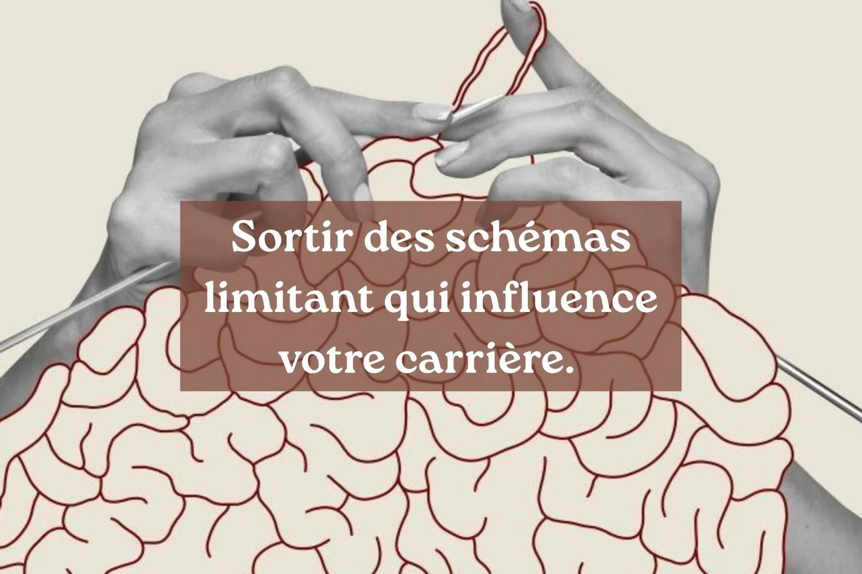 Présentation du réseau (28).jpg
