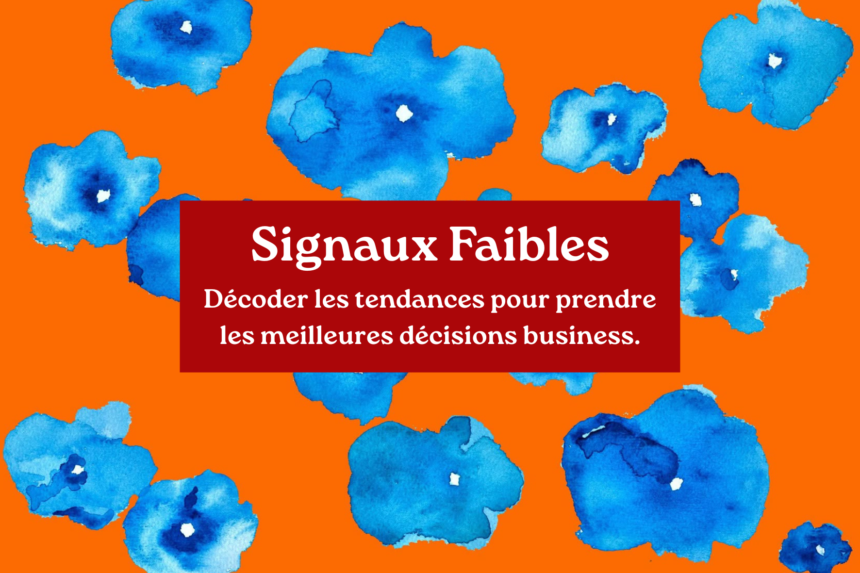 Présentation du réseau (1).png