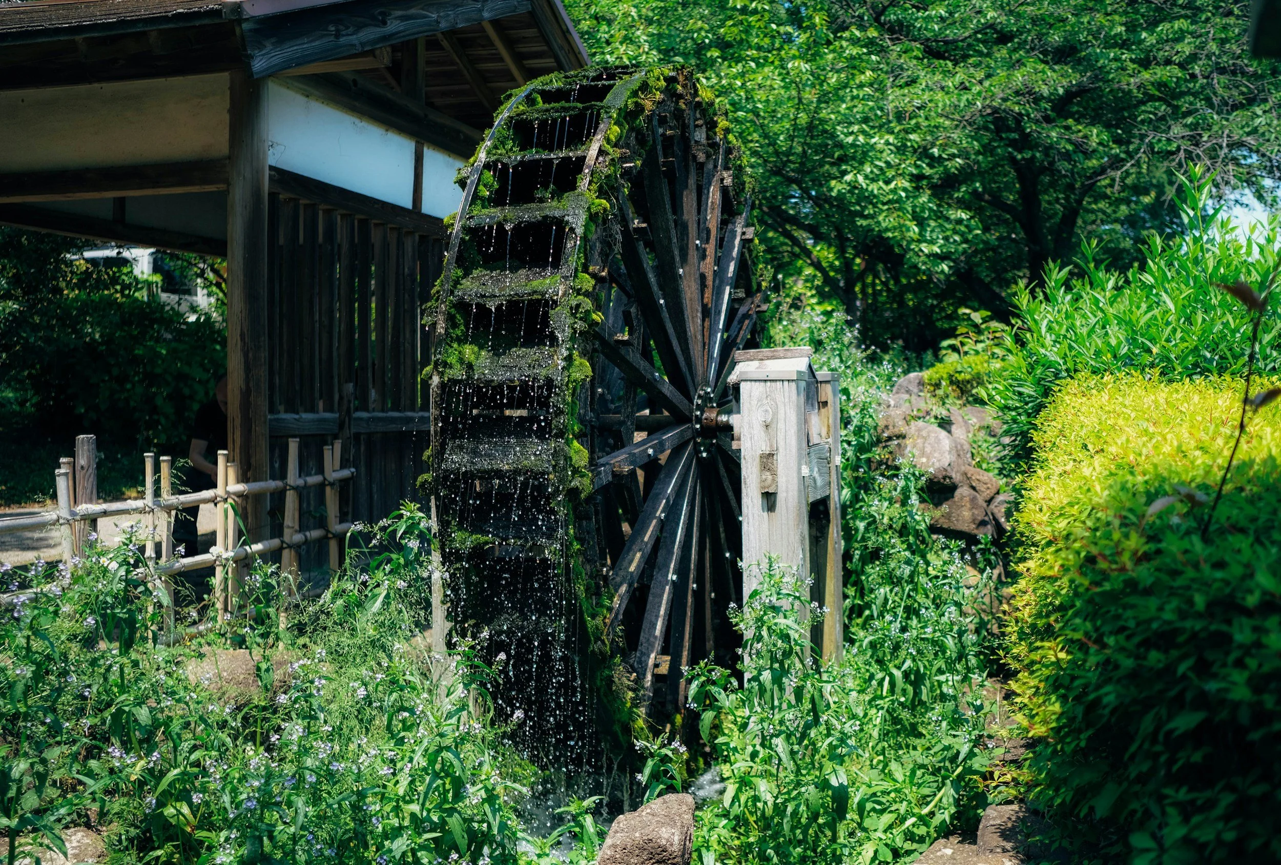 A water wheel in a lush garden with green plants and trees.