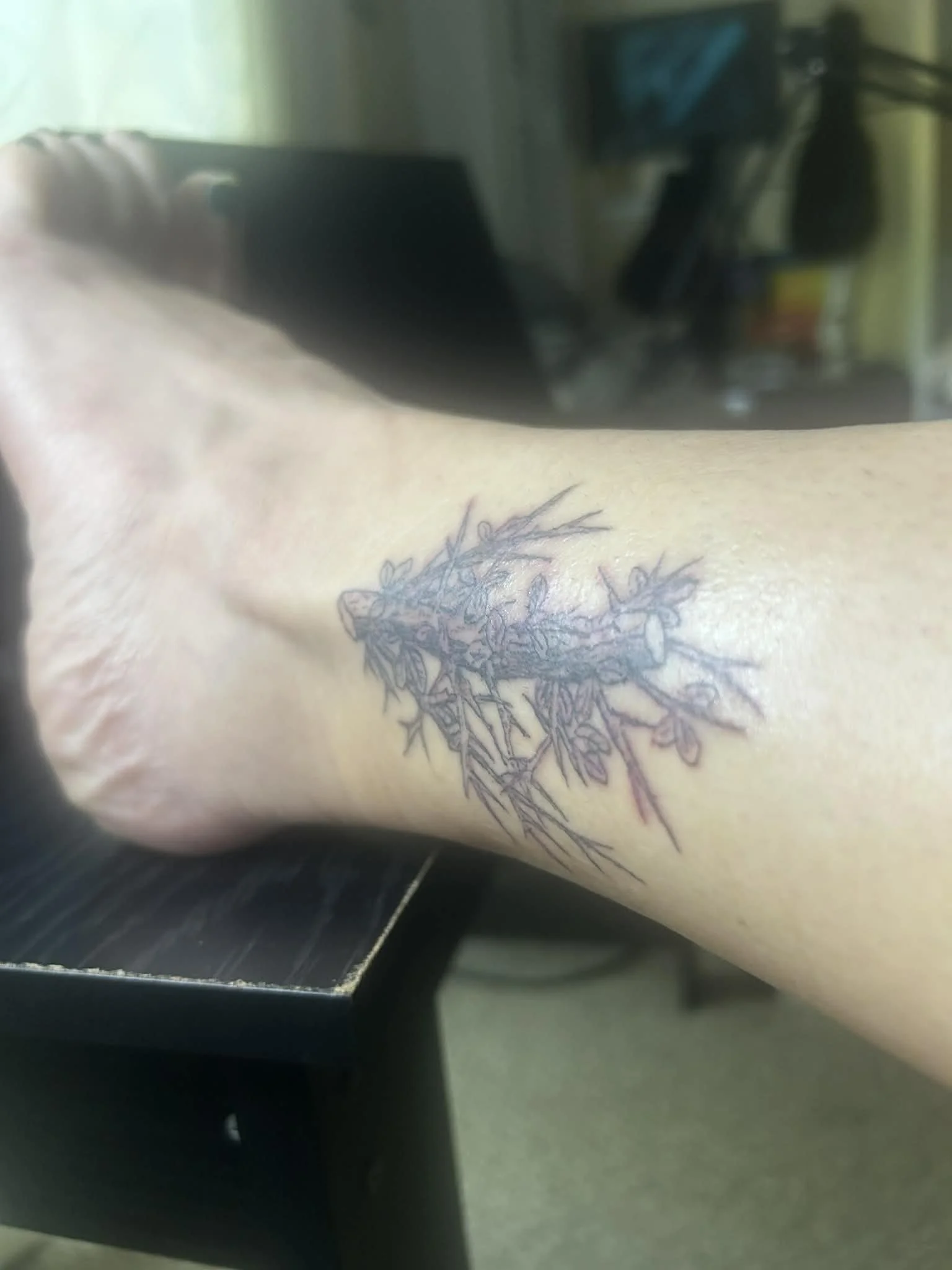 Tattoo of a branch with leaves on a person's wrist.