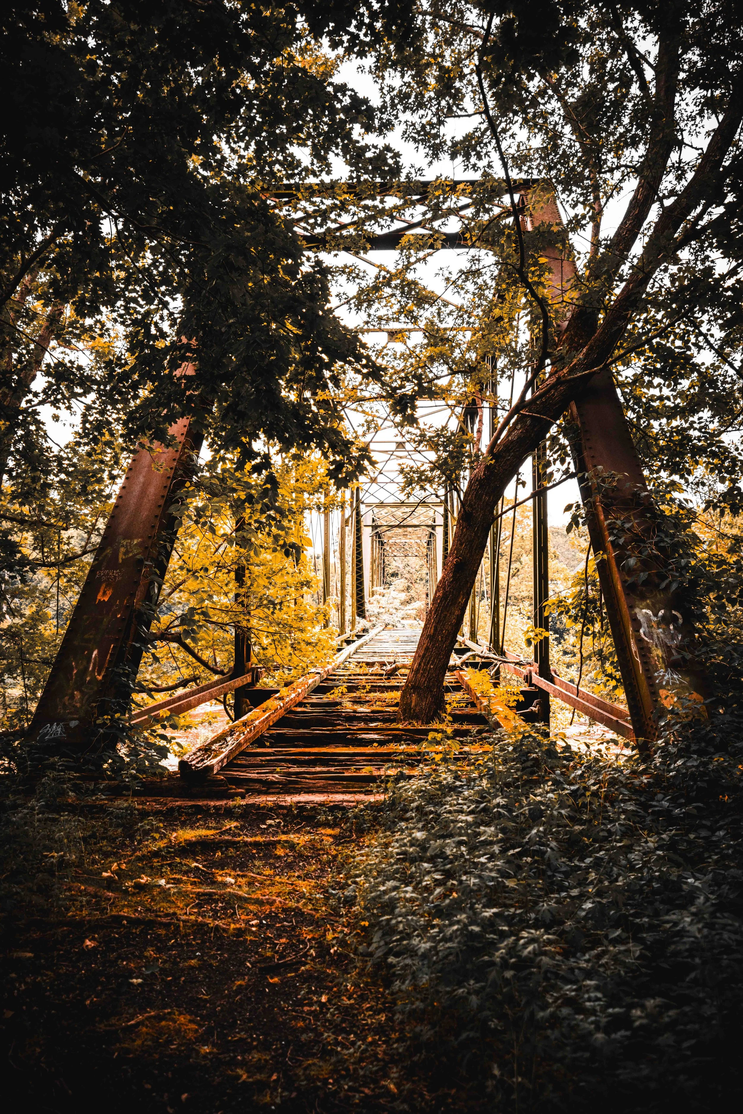 Neshanic Bridge #12 (1 of 1).jpg