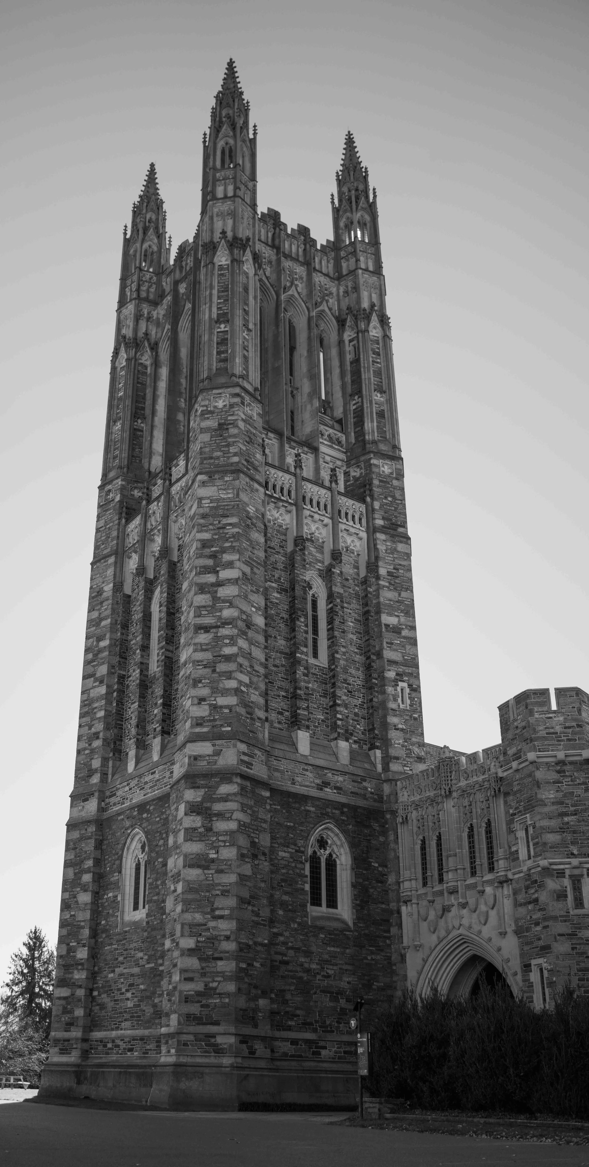 untitled (10 of 42).jpg