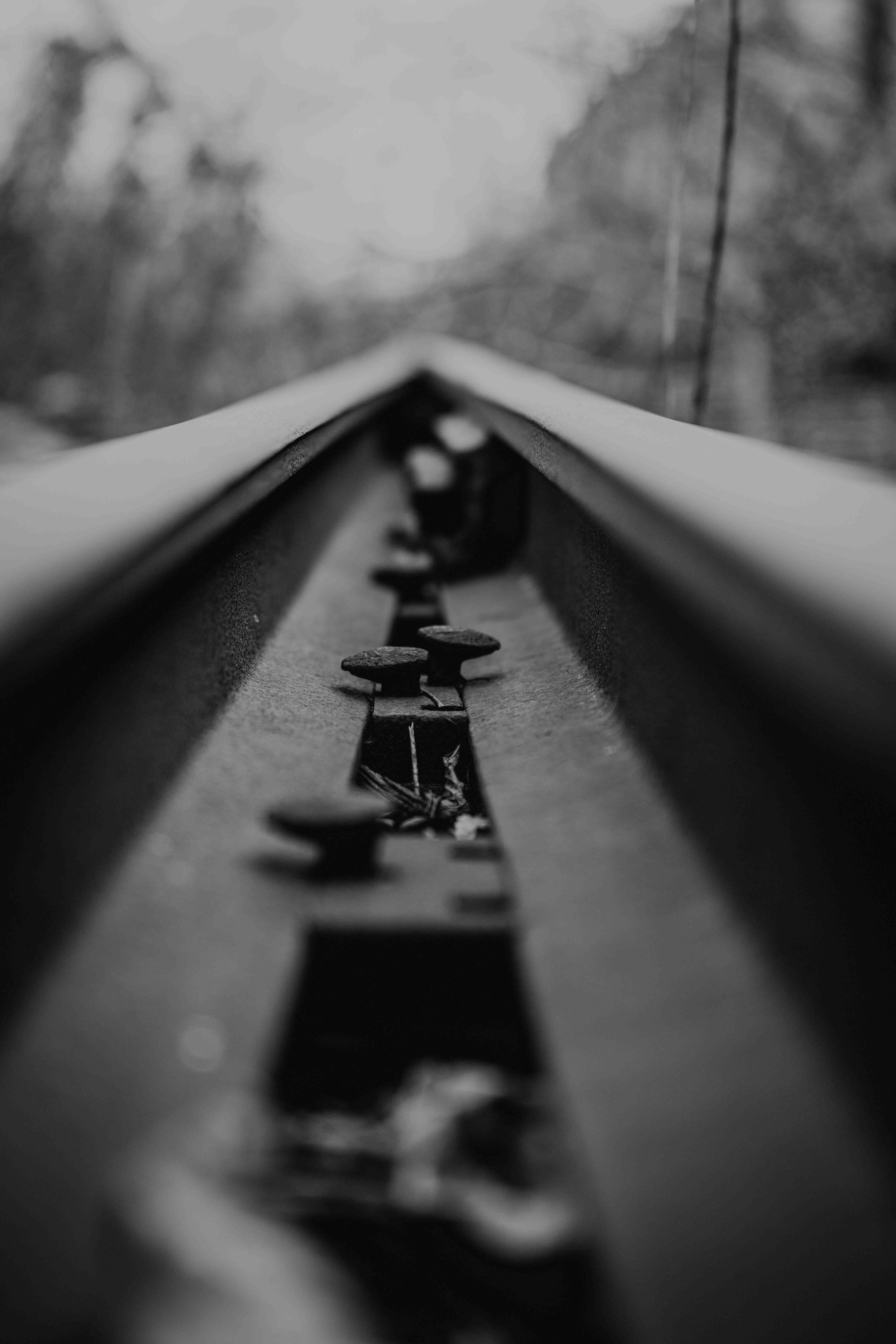 untitled (7 of 42).jpg