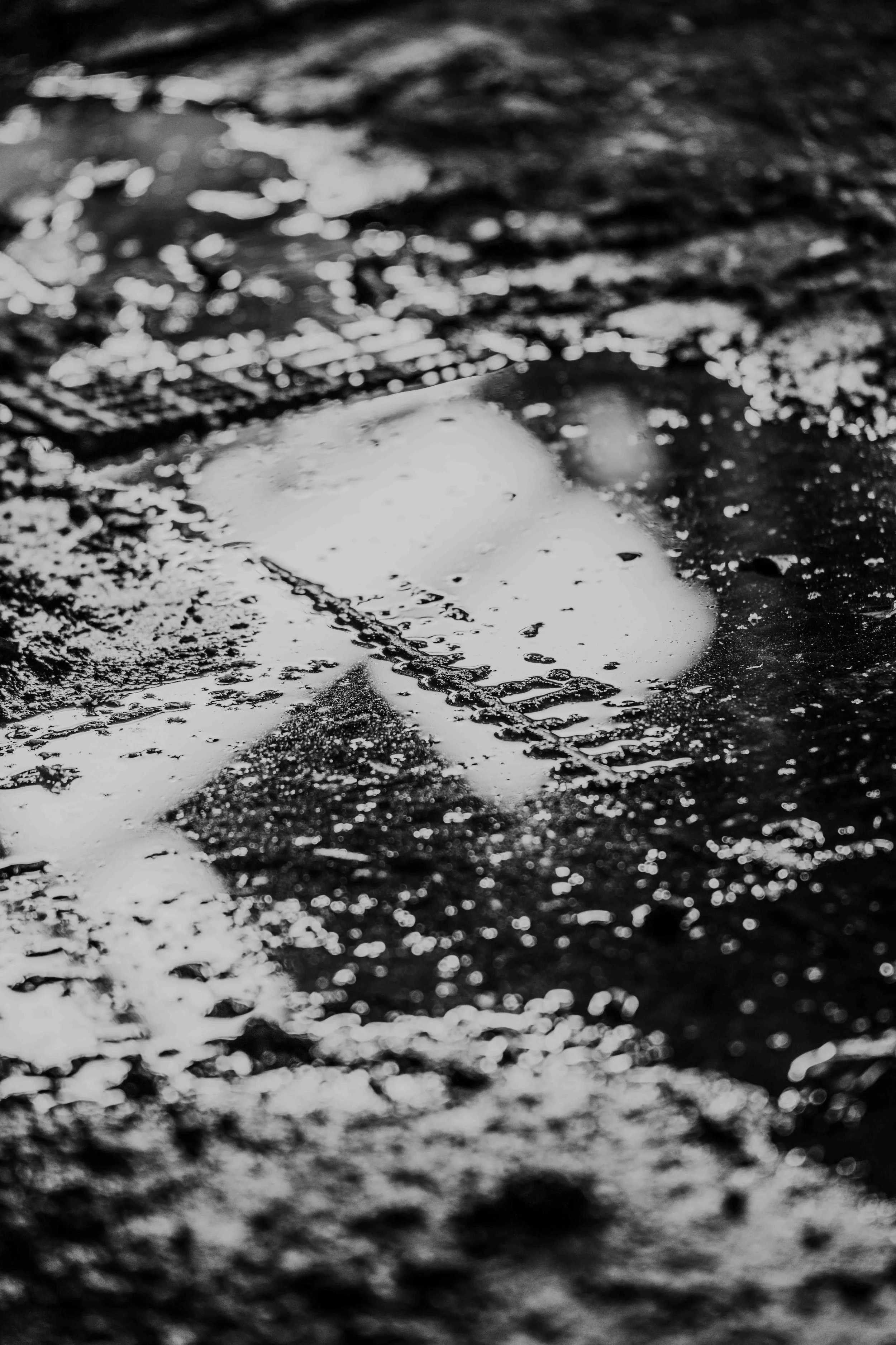 untitled (5 of 42).jpg