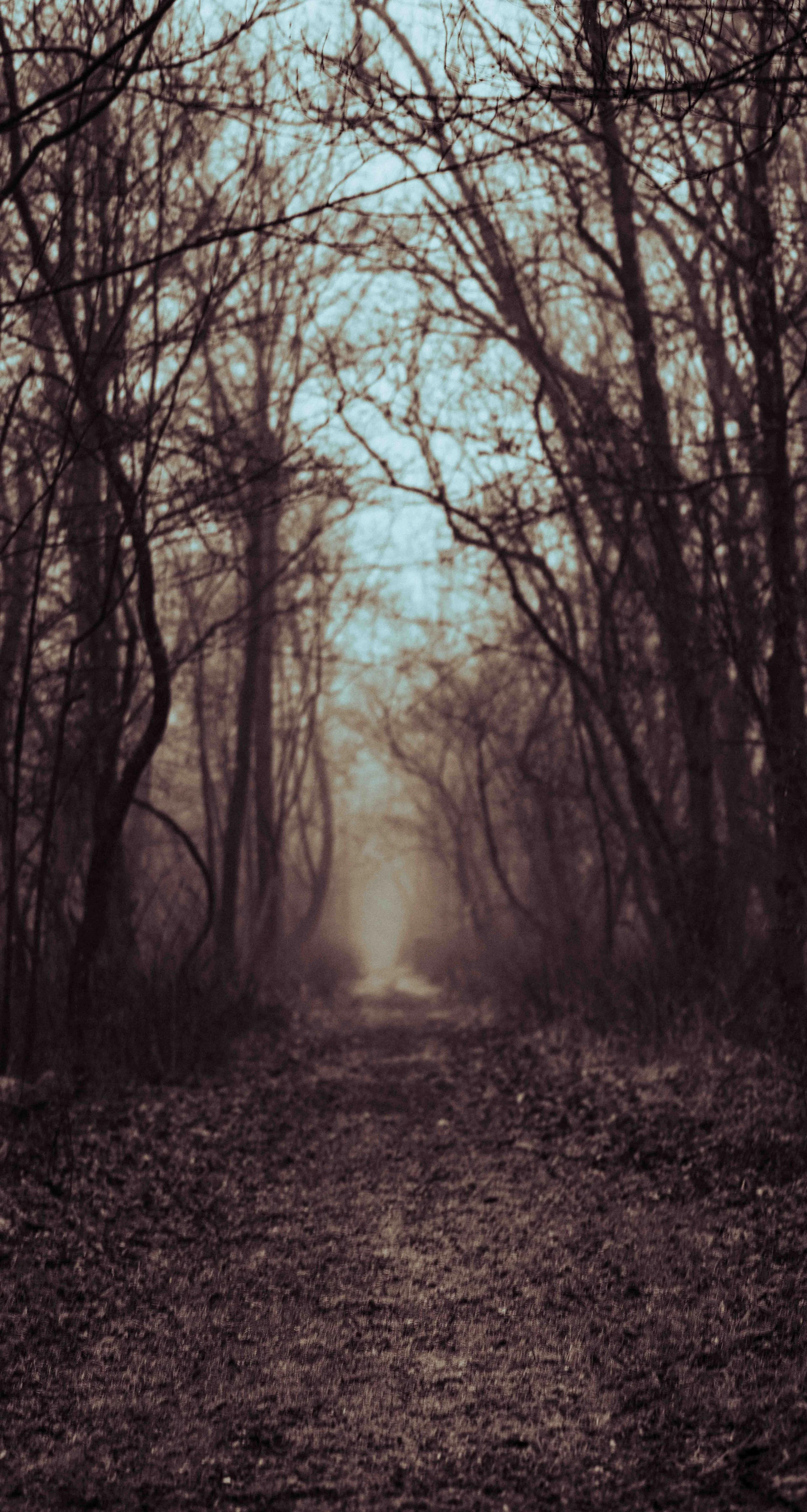 untitled (22 of 42).jpg