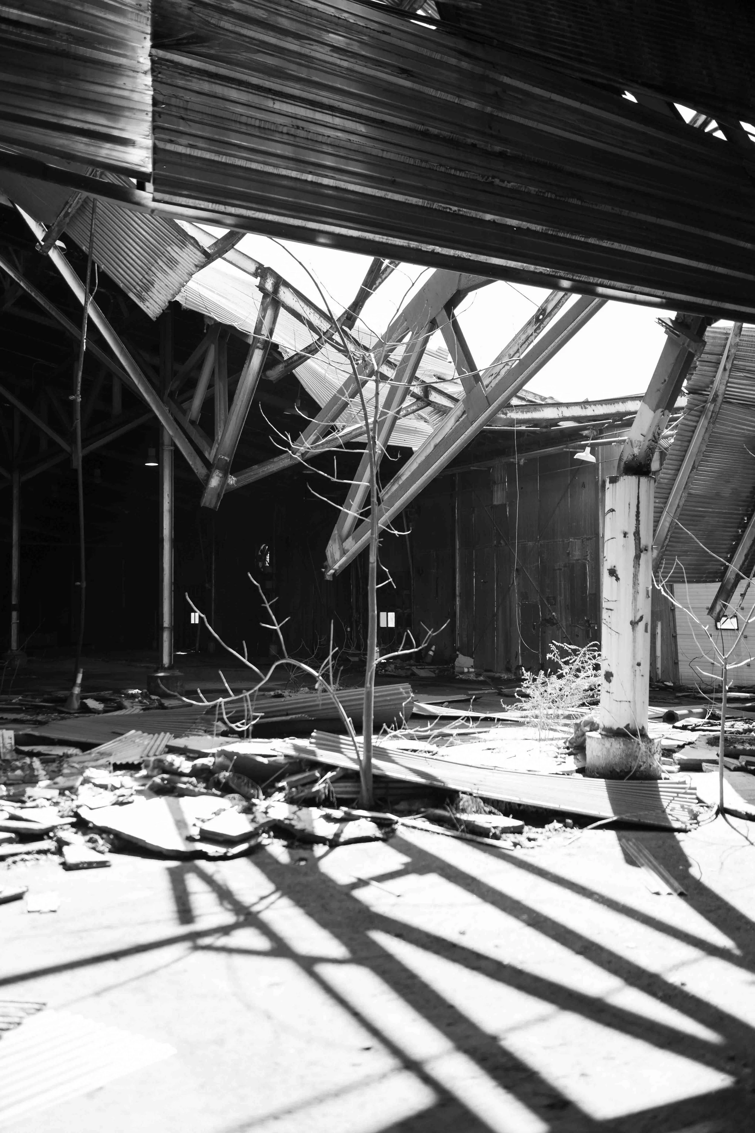 untitled (37 of 42).jpg