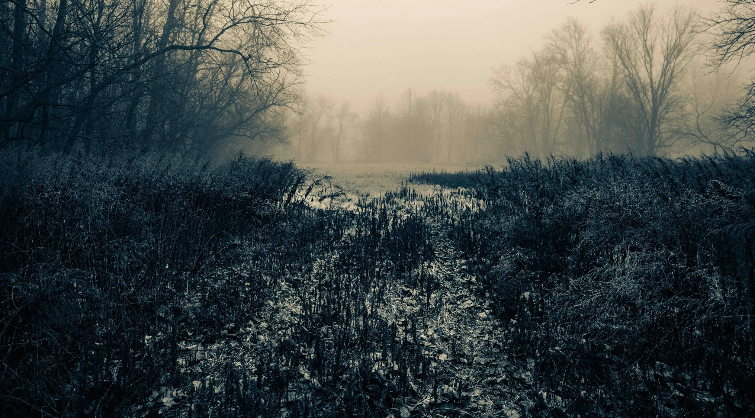 untitled (24 of 42).jpg