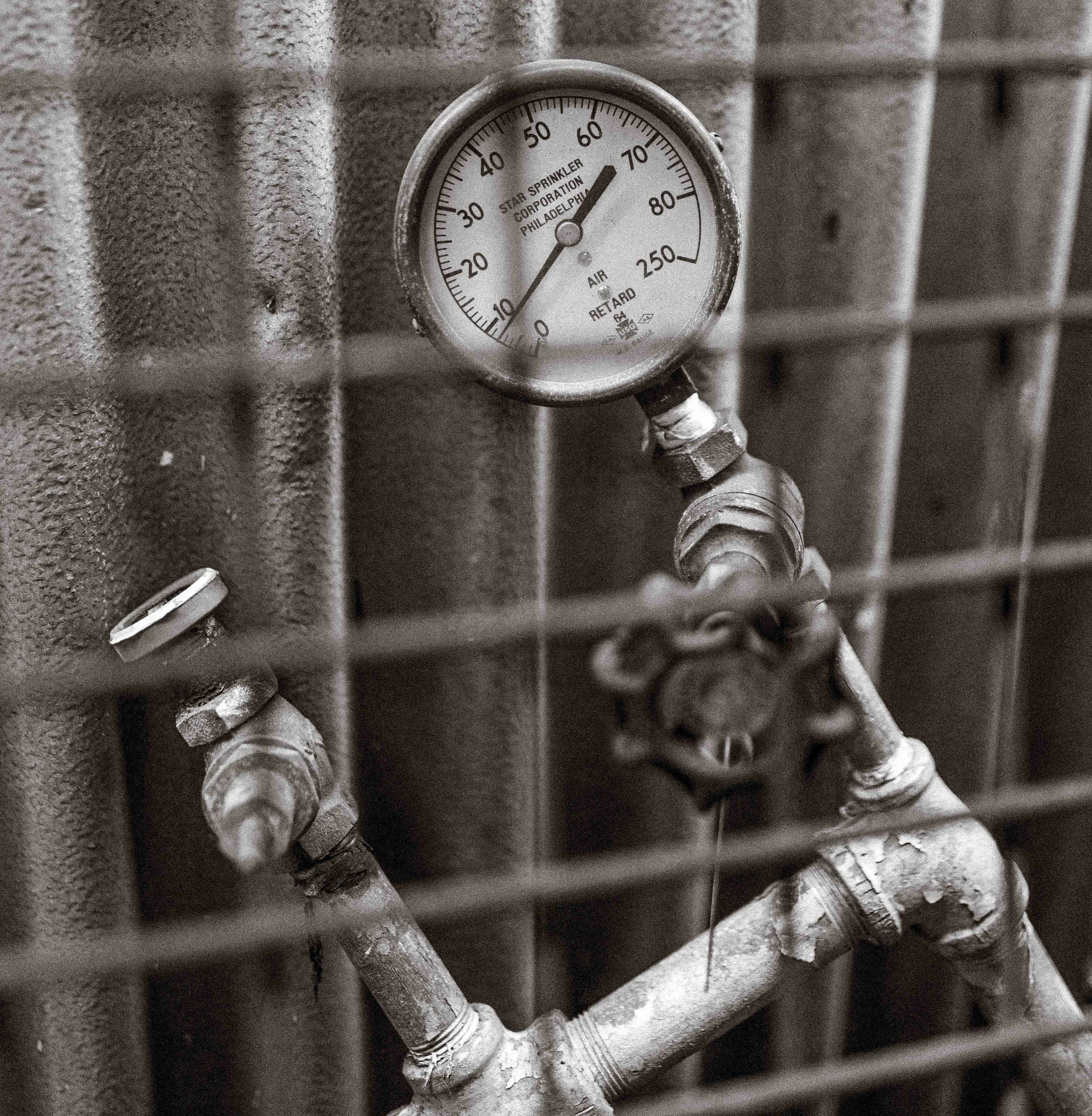 untitled (38 of 42).jpg