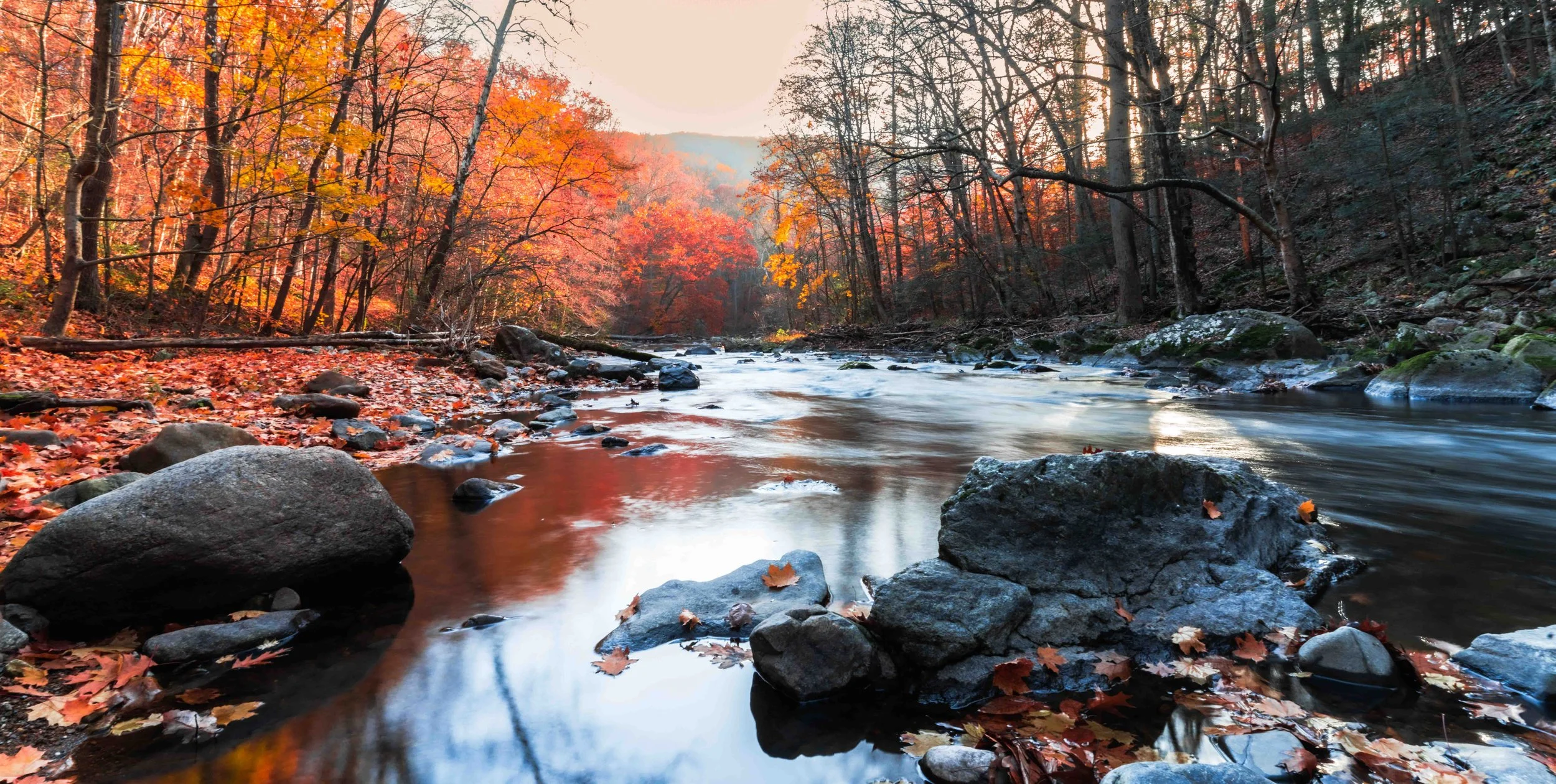 untitled (29 of 42).jpg