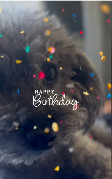 Emerson Turns 16&nbsp;
