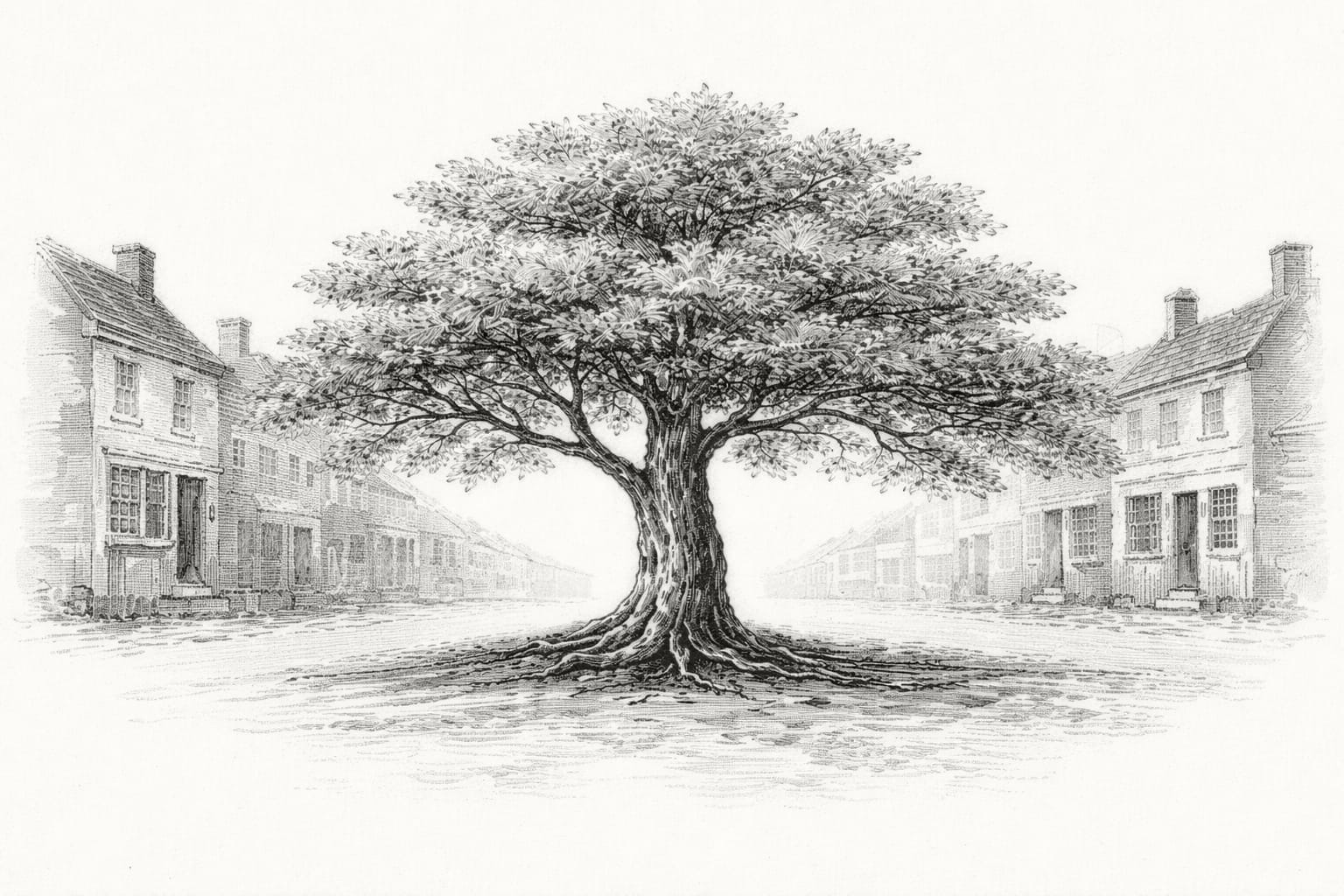 Trade &amp; Markets. Year of Our Story: 1792