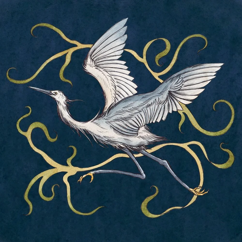 The graceful and majestic Little Egret.🪶 

A sparkling white bird, home to coastal areas and marshes in the Uk and Europe. I often see these mesmerizing birds at reserves and along the coastline where I live. They are so beautiful and a wonder to wa