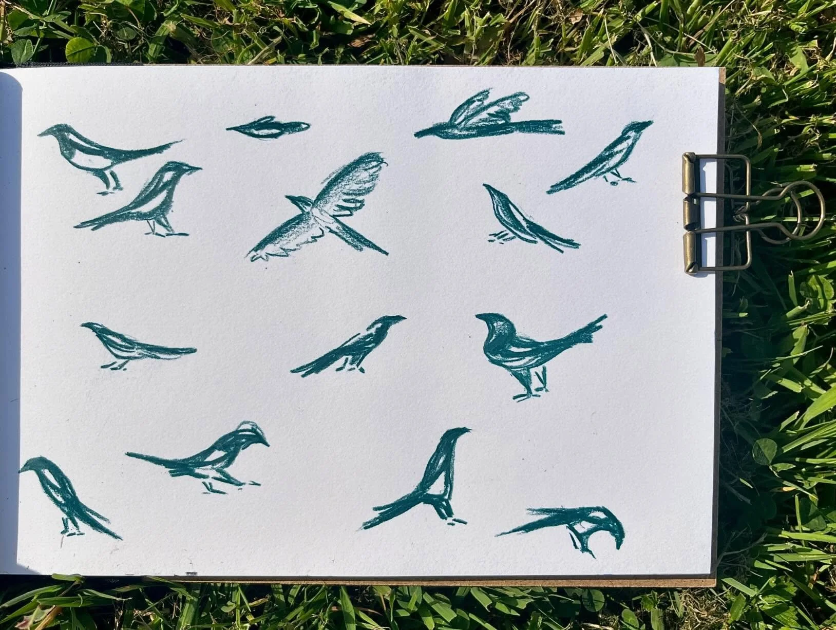 Here&rsquo;s a mini sketch dump! 🌱🐦&zwj;⬛
Most of these are quick scribbles of birds I have drawn from life ~ but the third slide is an idea that came to me at 3am. (When all the best ideas happen.) 

My sketchwork is veeeerry messy but full of whi