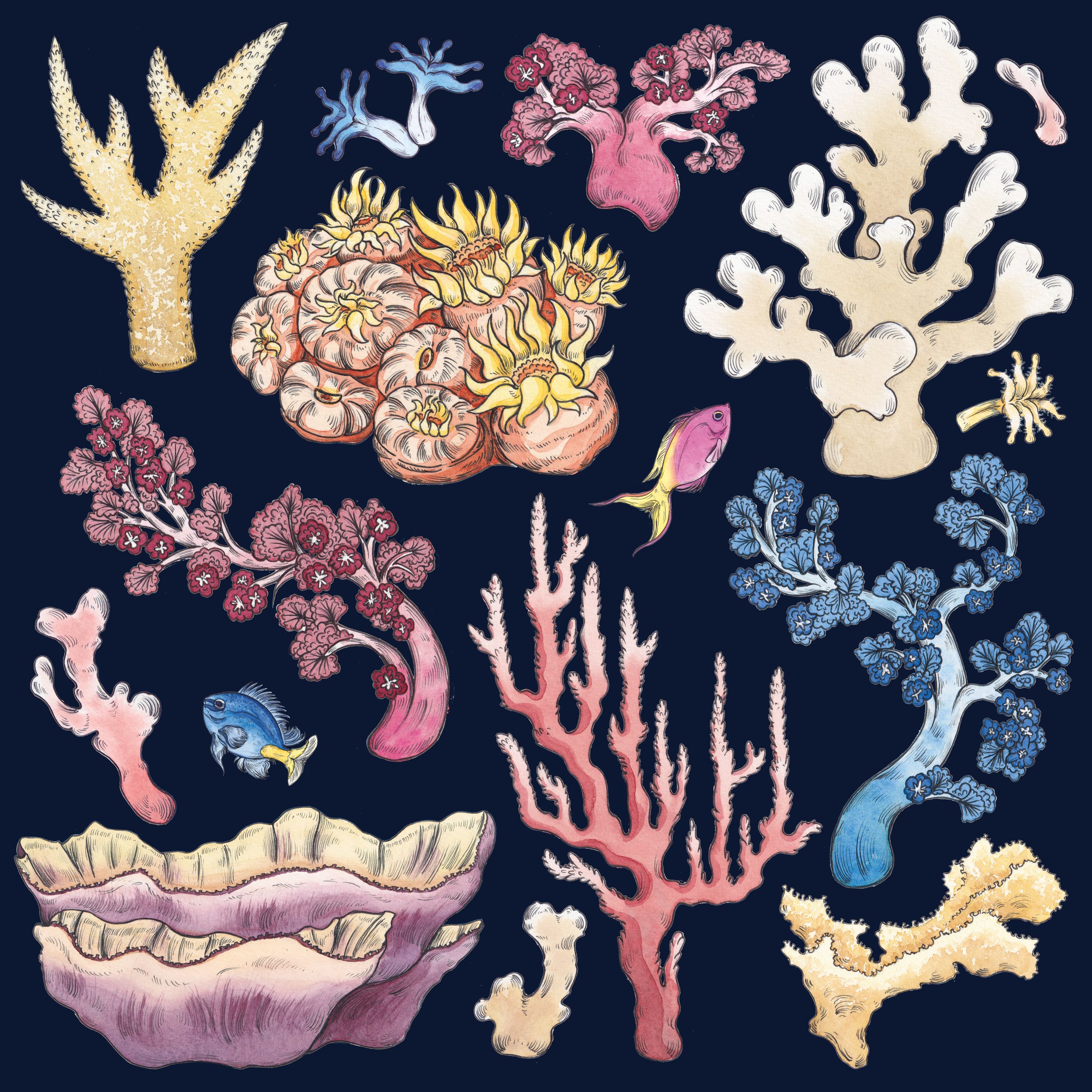 All You Can Sea Website Sample.jpg