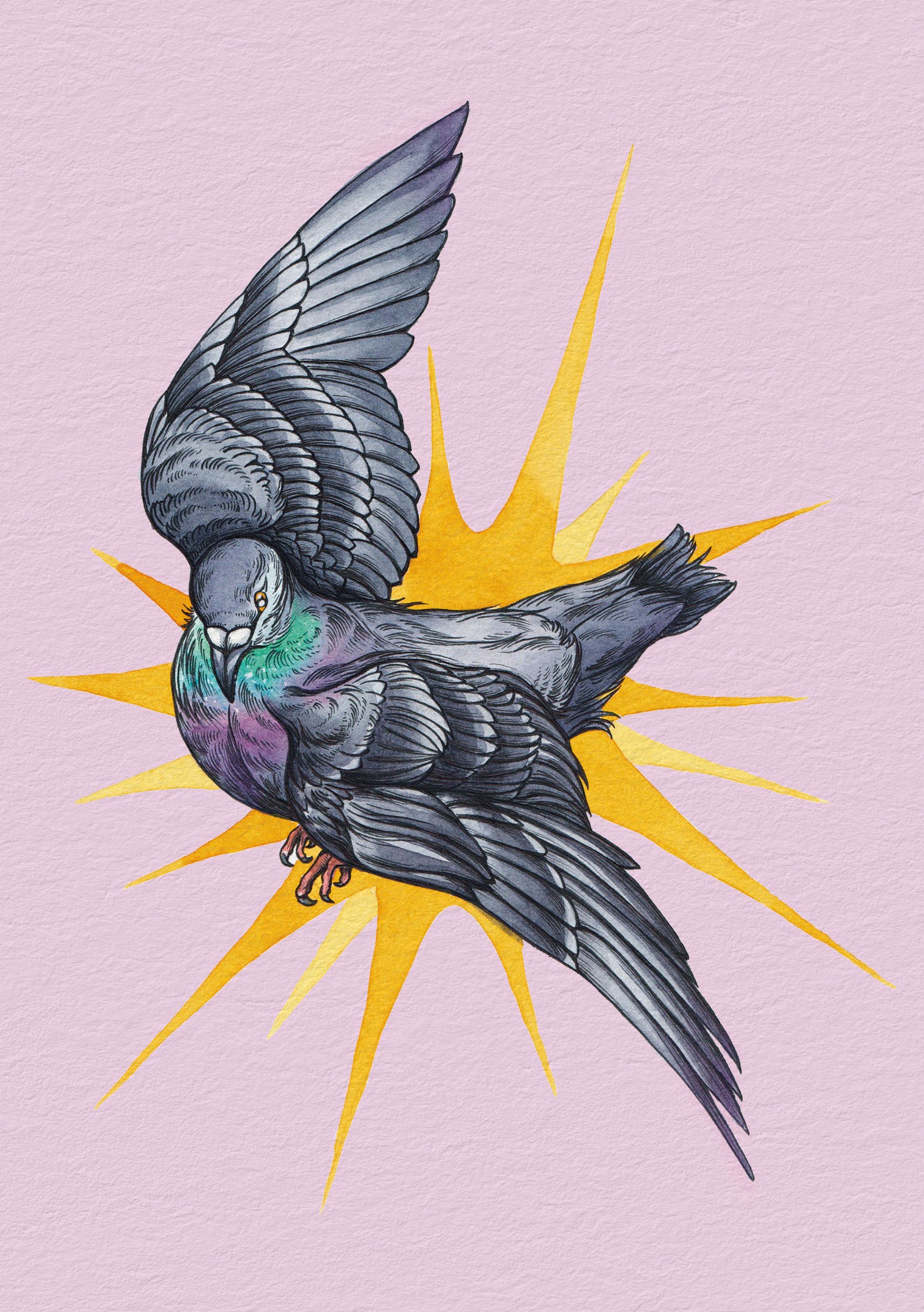 Etheral Pigeon Star.jpg