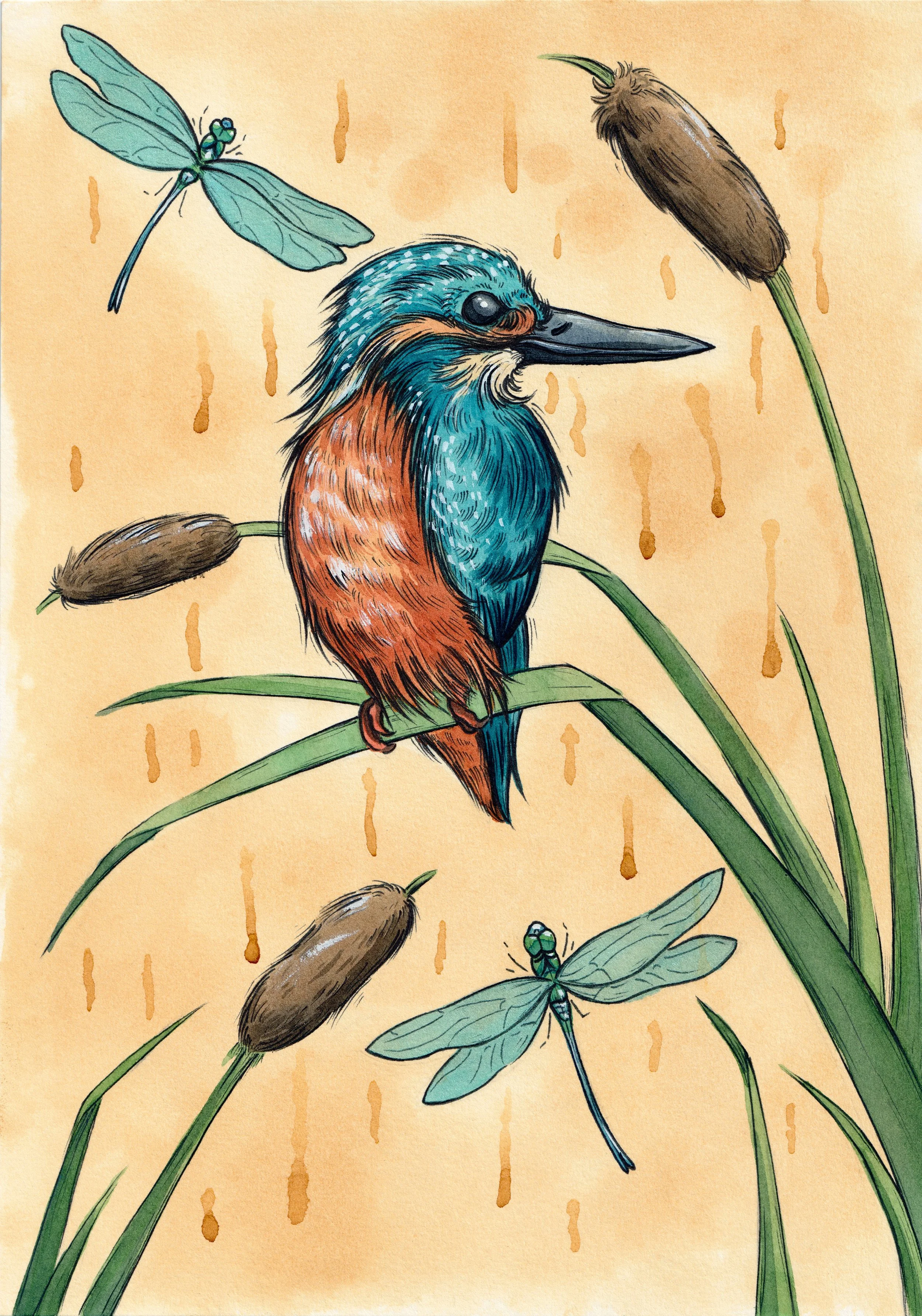 Kingfisher Painting.jpg