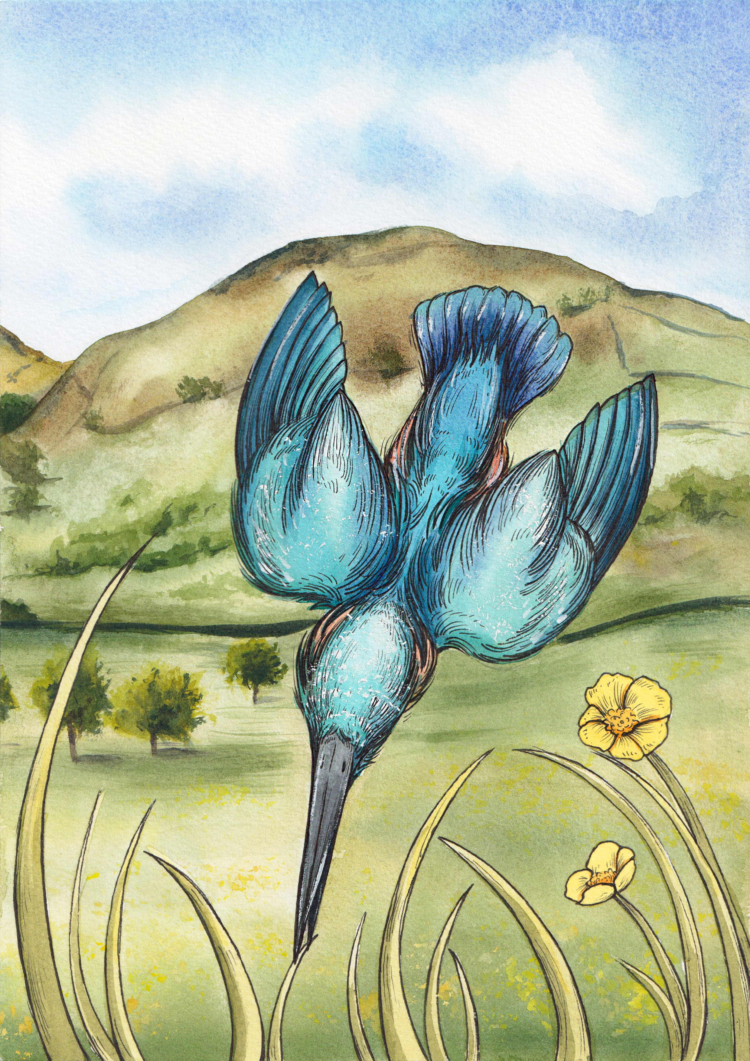 Sarah's Kigfishers 2.png