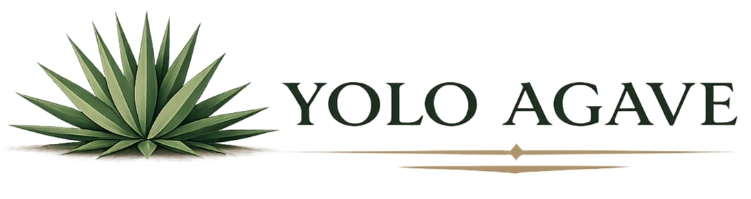Yolo Agave
