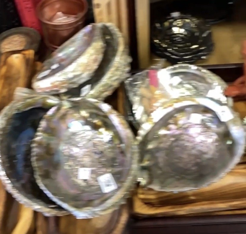 Smudge Holder Abalone 5 -6 inch.