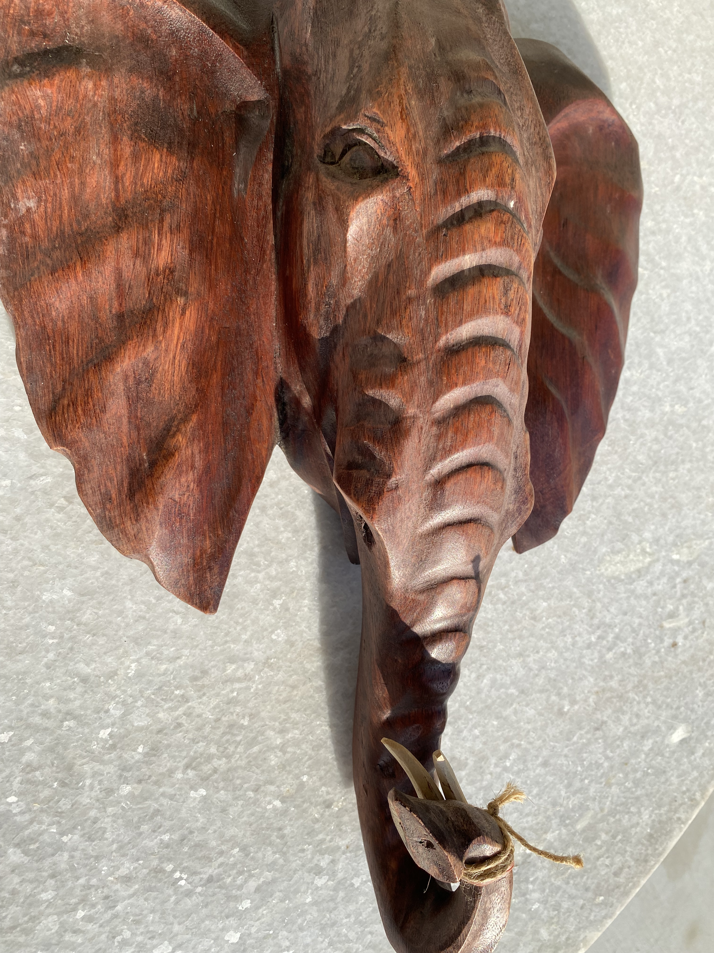 Side Elephant.png