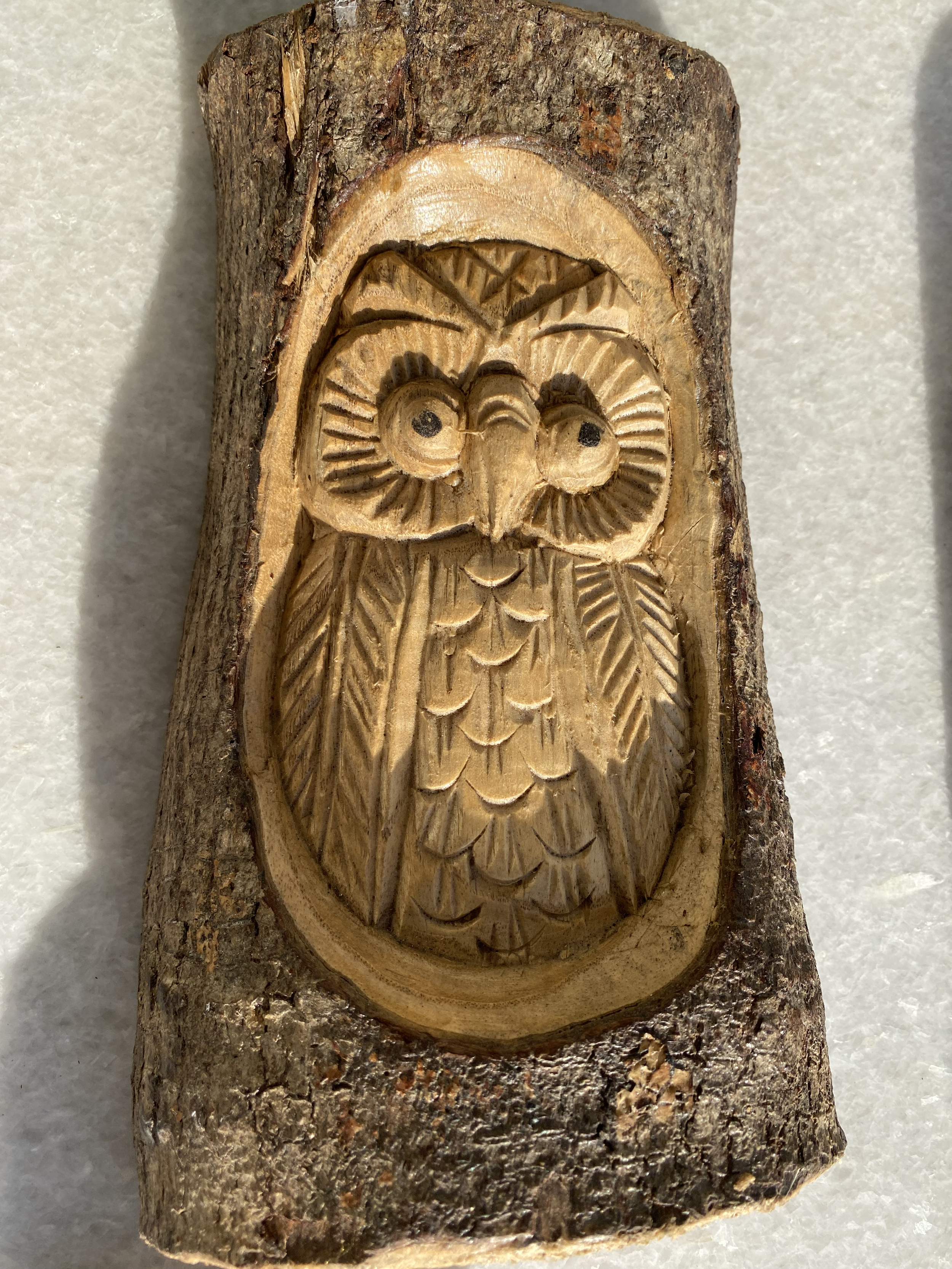 Medium Owl.png