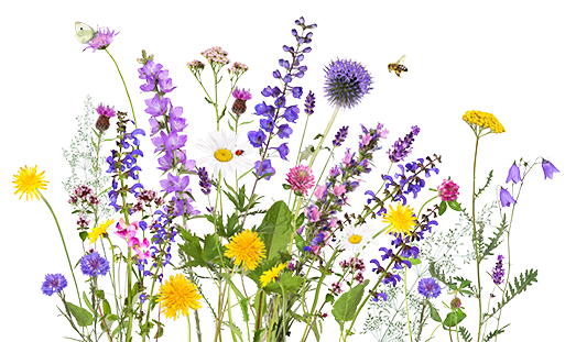 Colorful bouquet of various wildflowers with bees, butterflies, and distant birds.