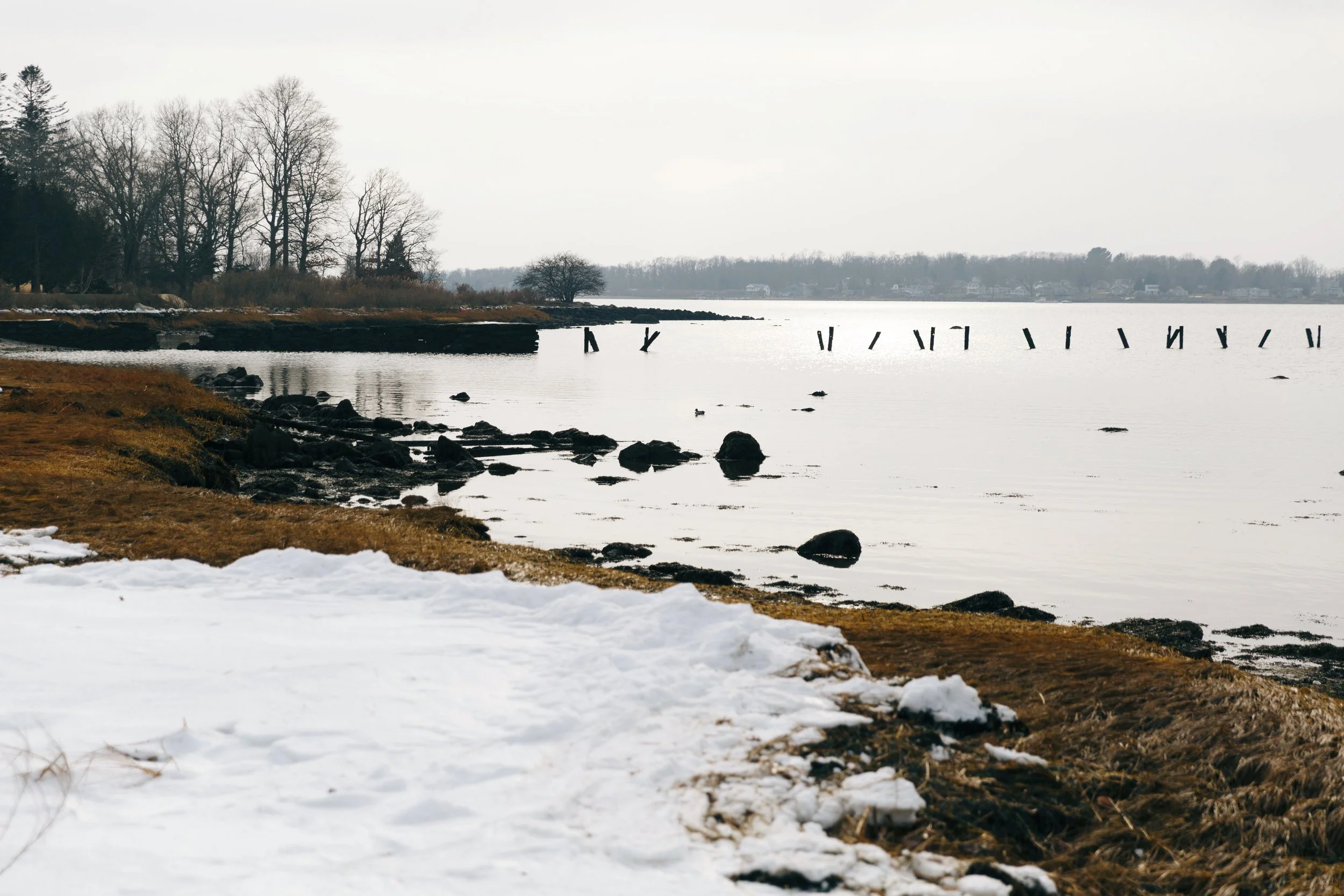 Thrive-wellness-ri-retreat-photography-rachel-denise-messi-thoughts-creative-brand-design-3.jpeg