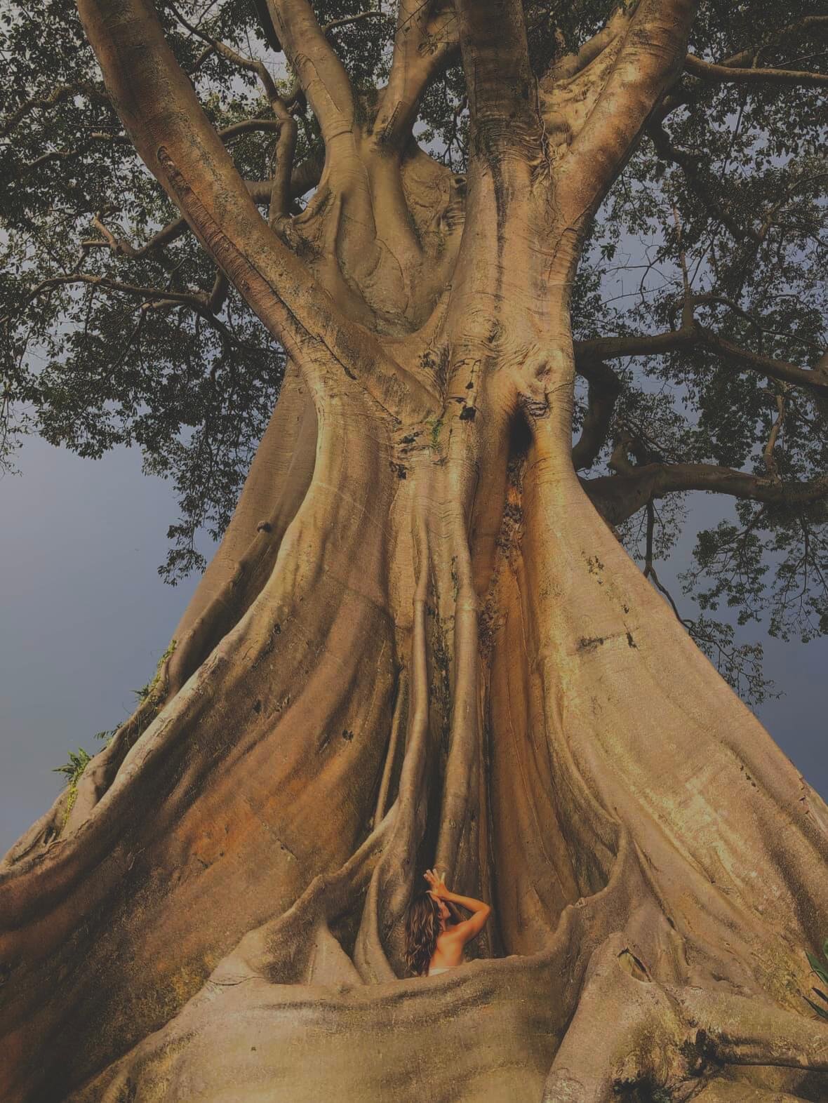 Somatic &amp; Mindfulness