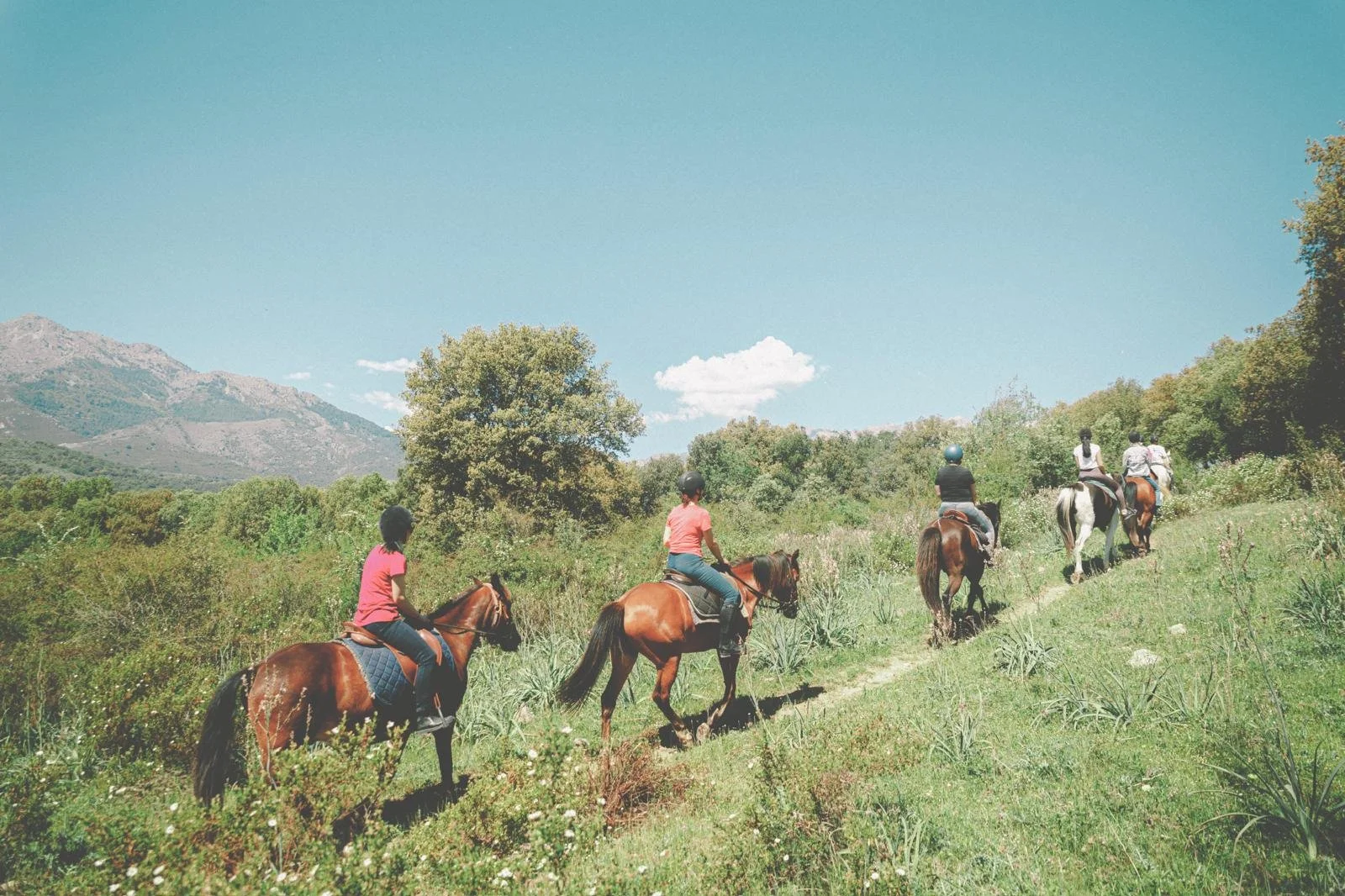 Yoga &amp; Horse Riding