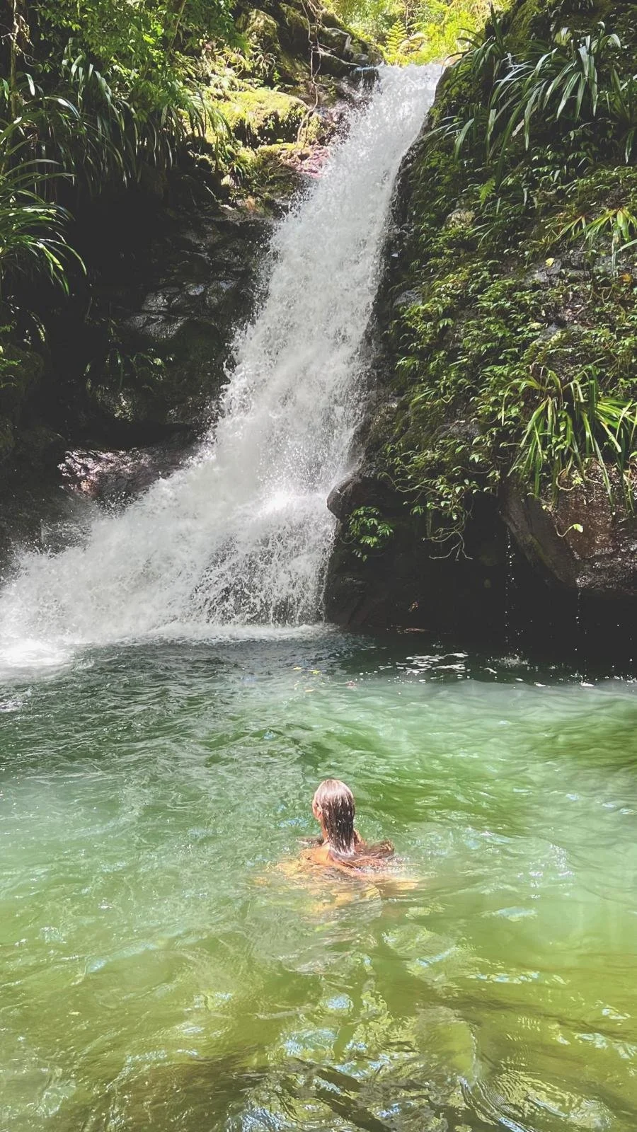 Disconnect to Reconnect