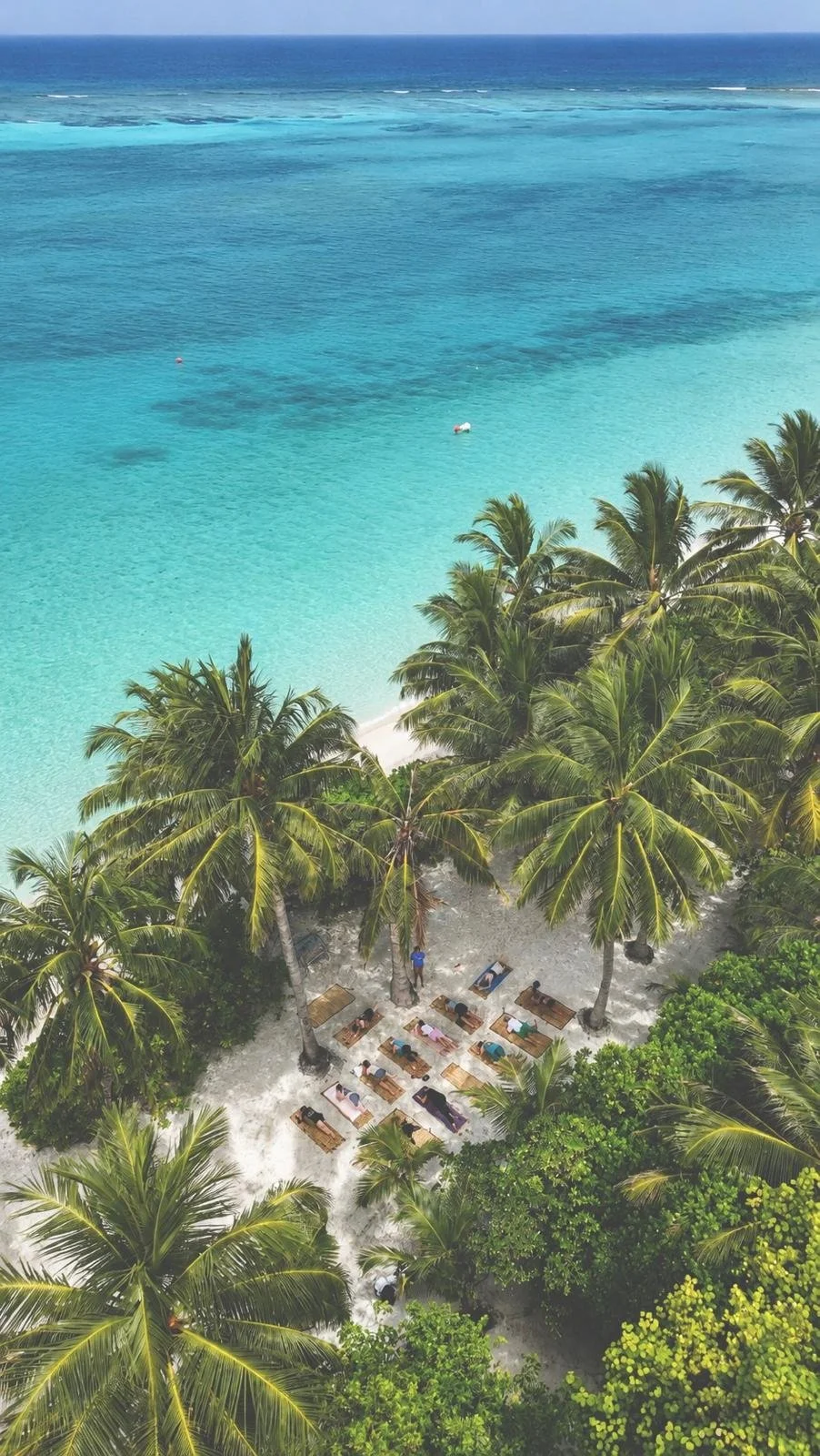 Pilates in Paradise