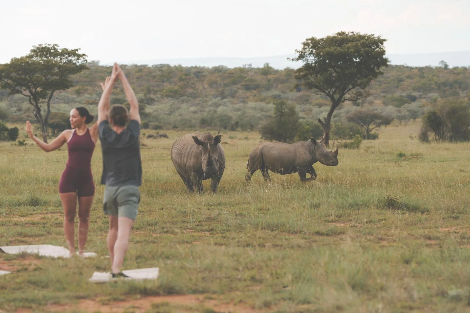 Welgevonden Game Reserve