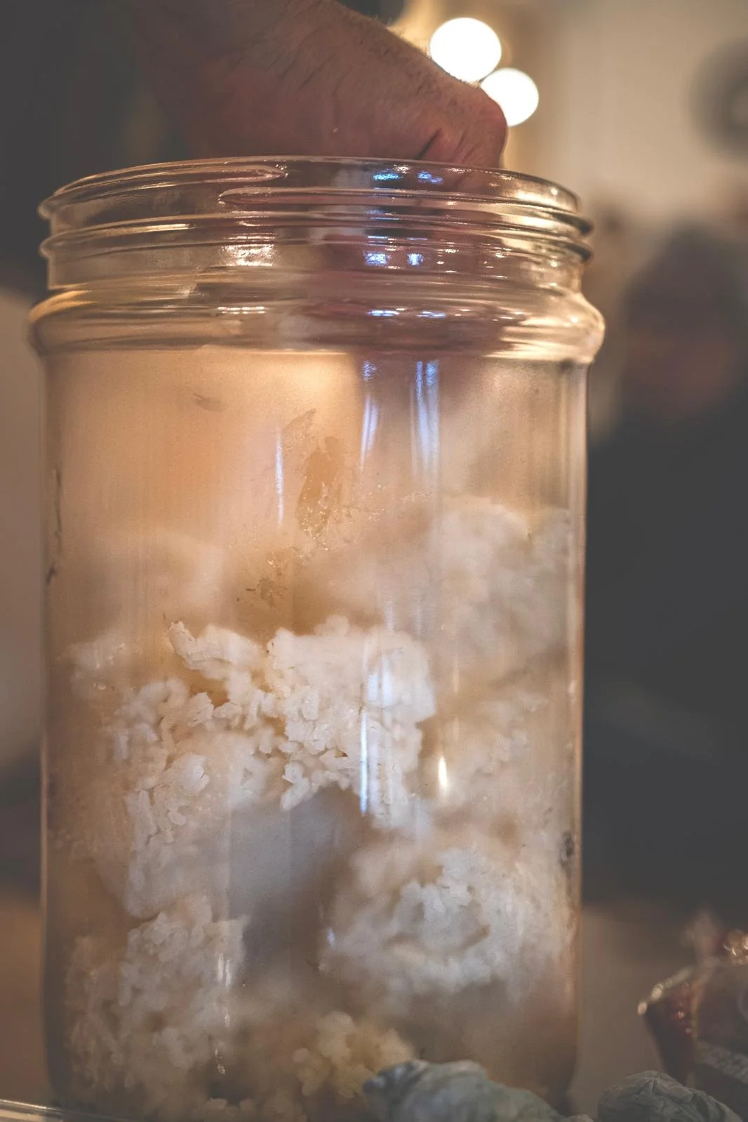 Slow Ferments
