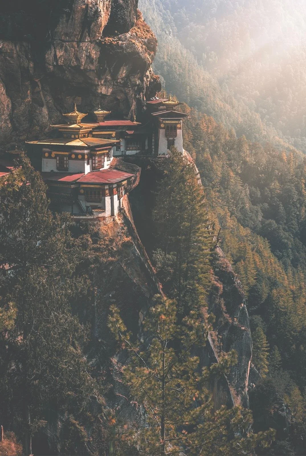 Awakening to Radiance