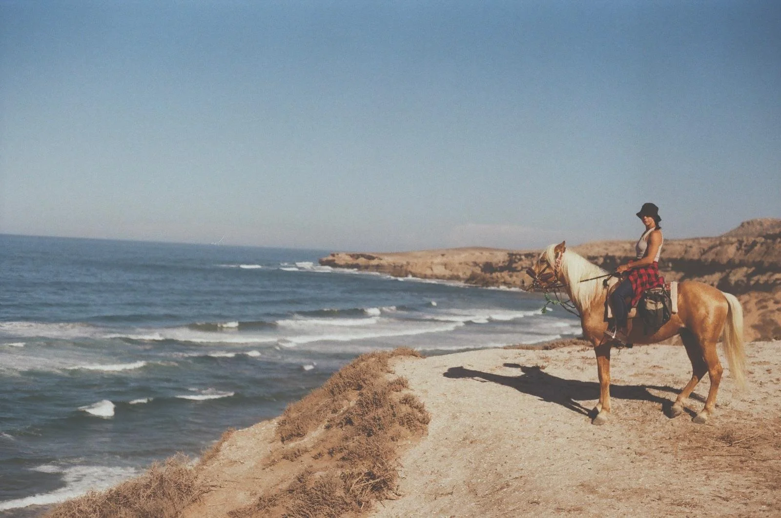 Ocean, Horses &amp; Yoga