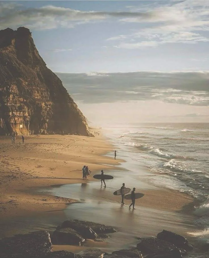 Surf Sommelier