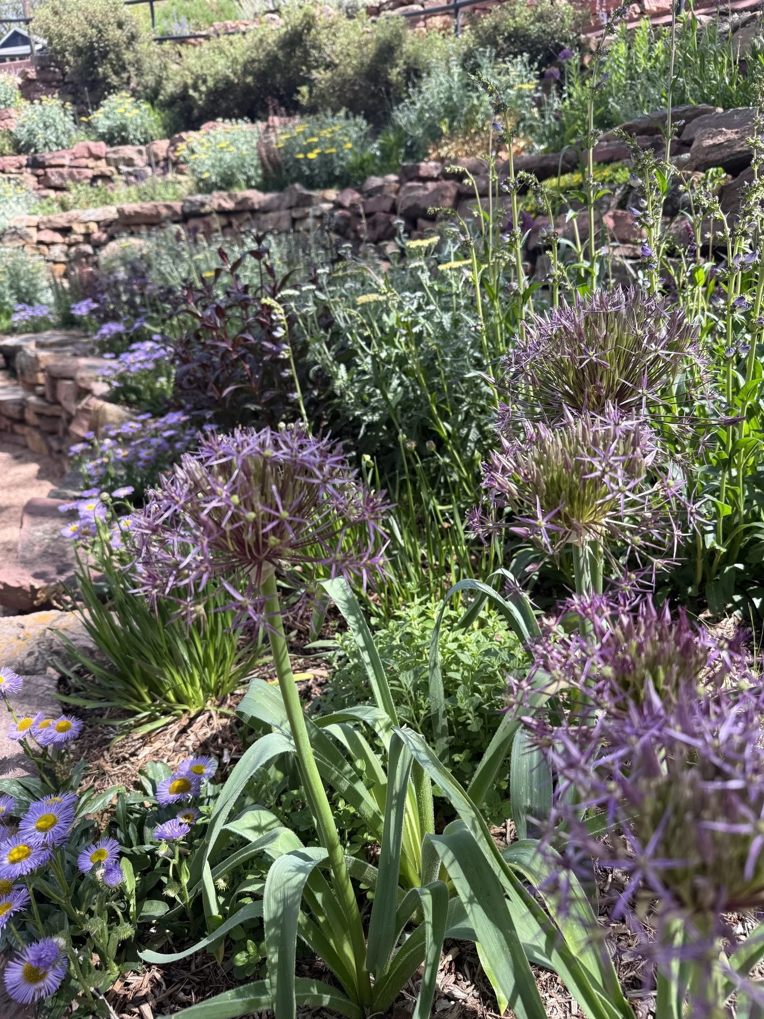 Outdoor gardens at Miramont Castle in Manitou Springs, Colorado.