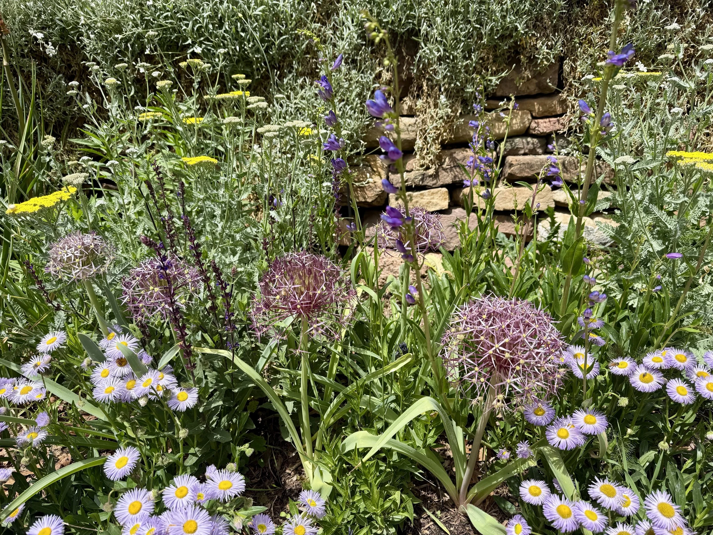 Castle flowers - Outdoor gardens at Miramont Castle in Manitou Springs, Colorado.