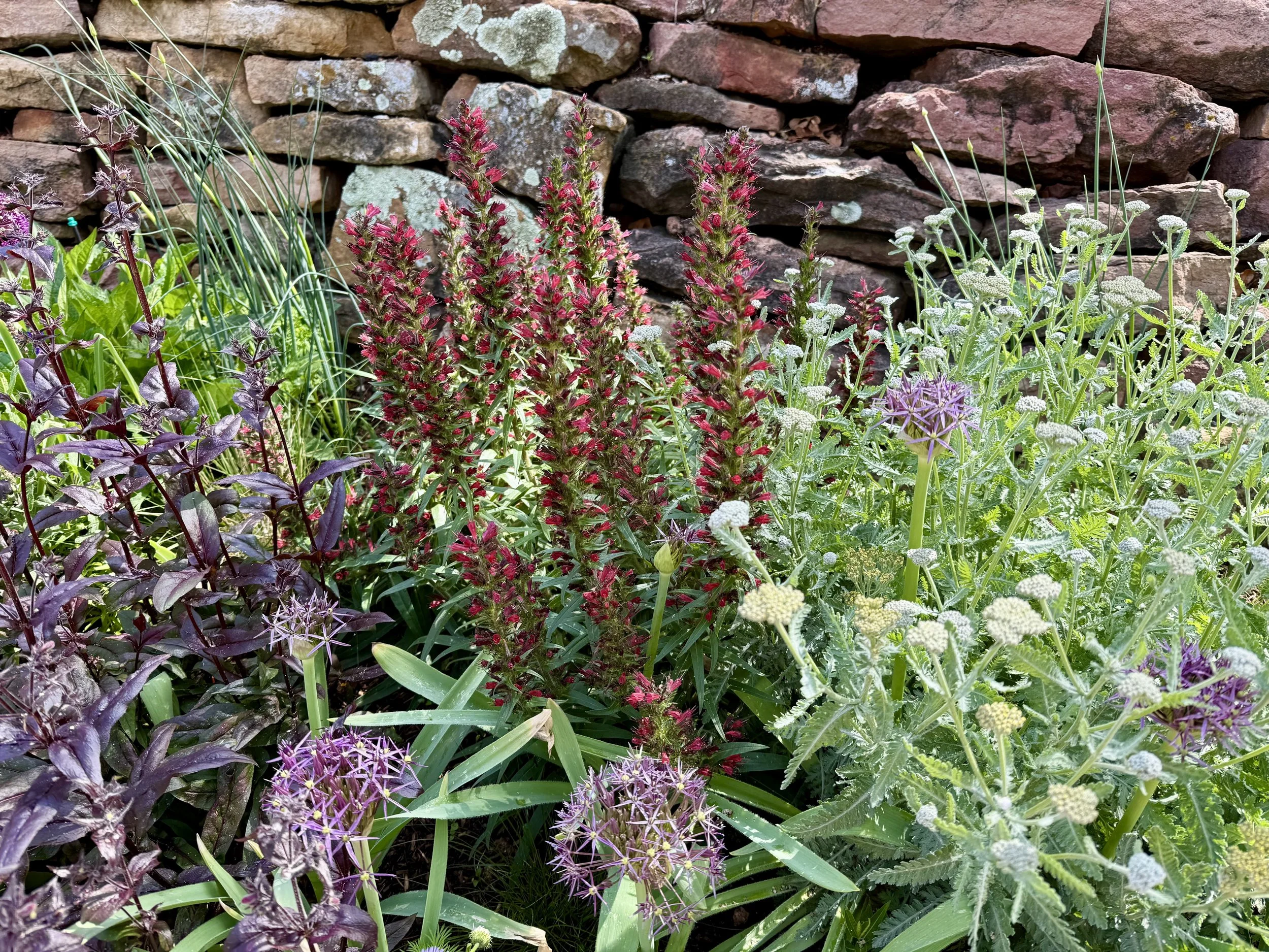 Castle flowers - Outdoor gardens at Miramont Castle in Manitou Springs, Colorado.
