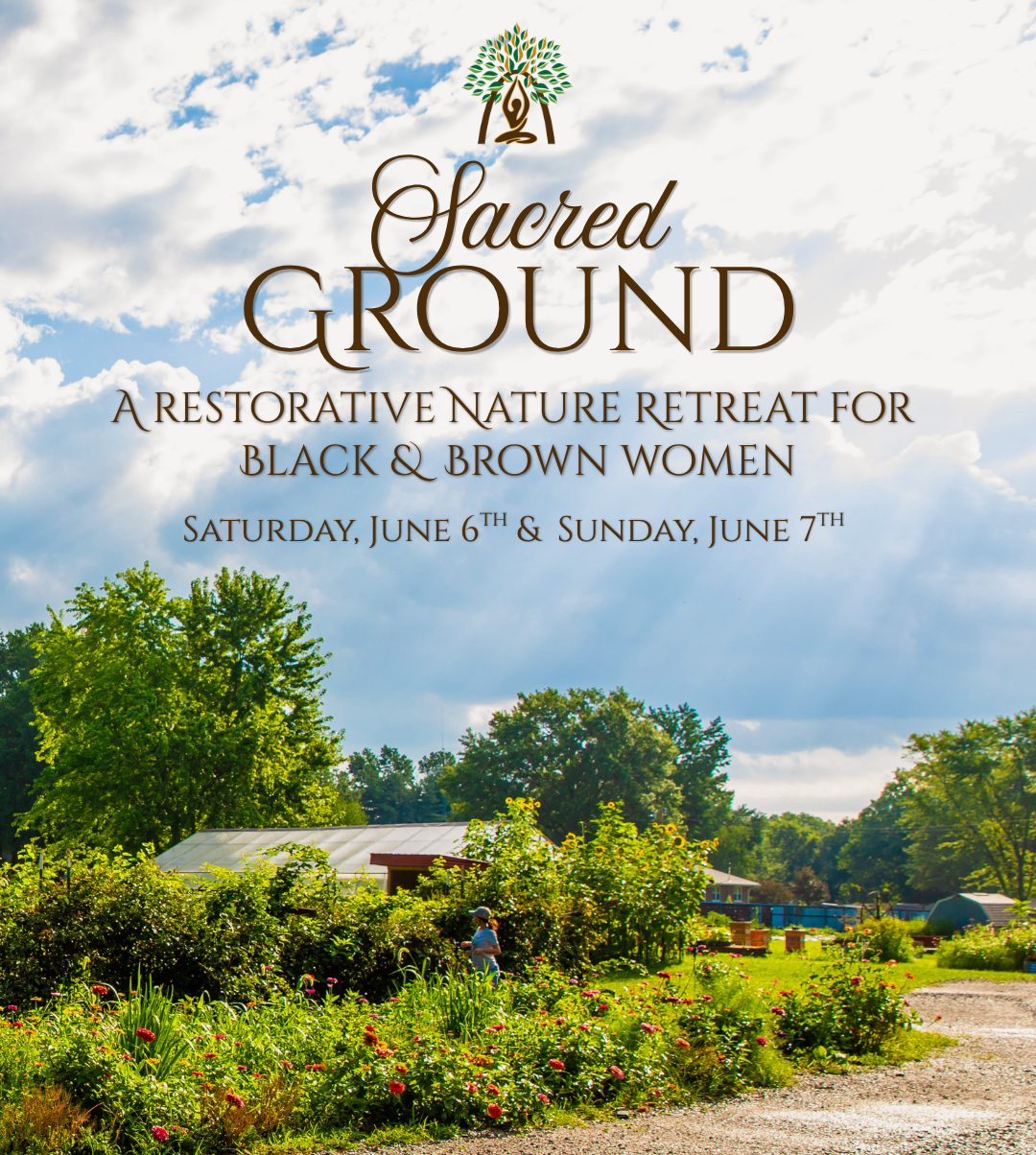 Sacred Ground: A Restorative Nature Retreat