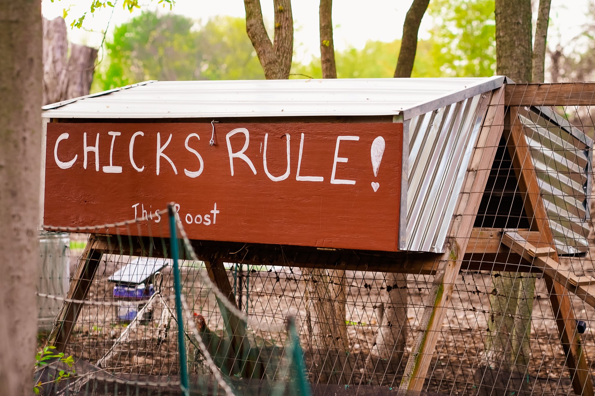 Wooden chicken coop with a sign that reads 'CHICKS RULE! This Roost' in white letters, located in a leafy outdoor setting.