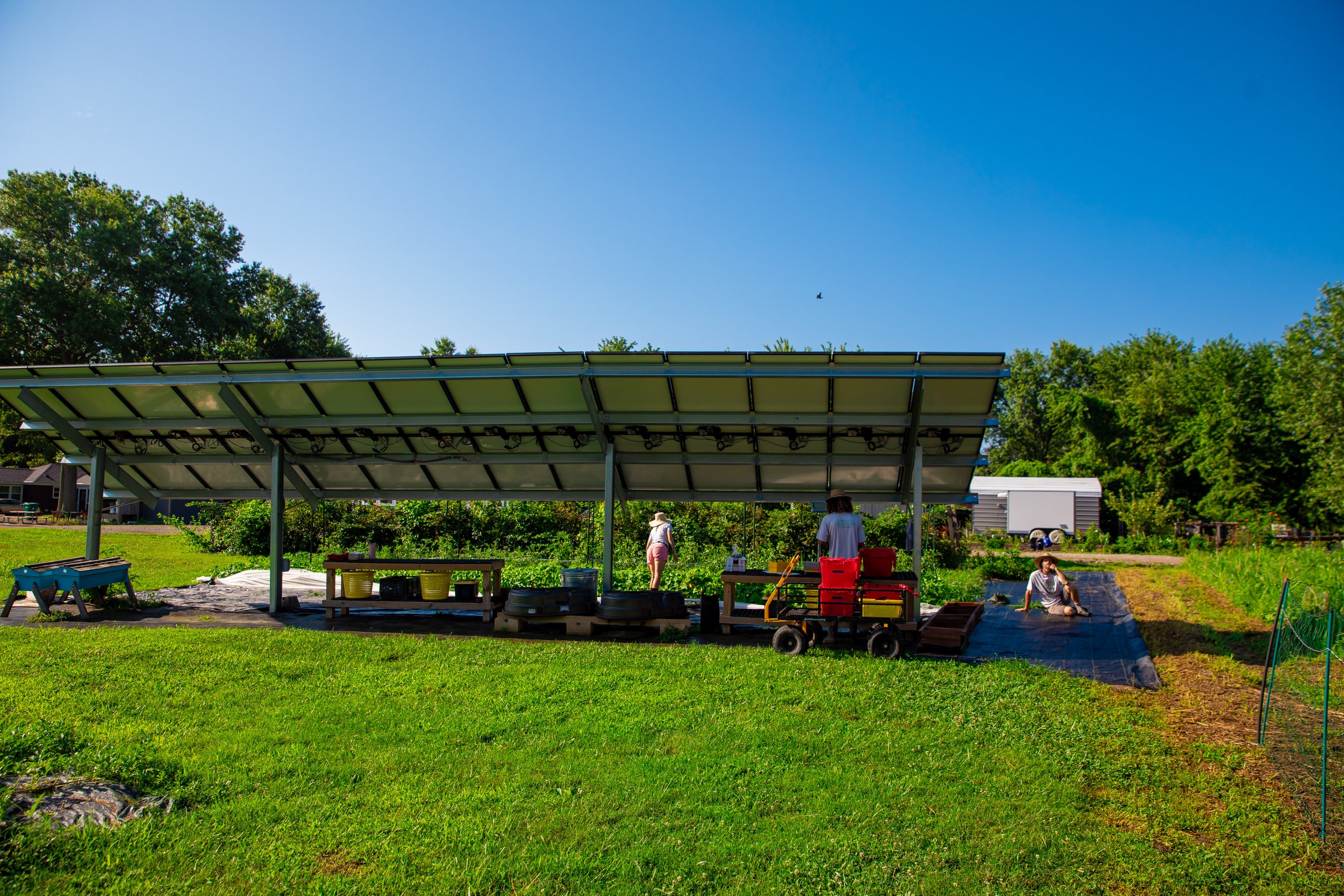 People working in a vegetable garden under a large solar panel structure on a sunny day, with trees and a clear blue sky in the background.